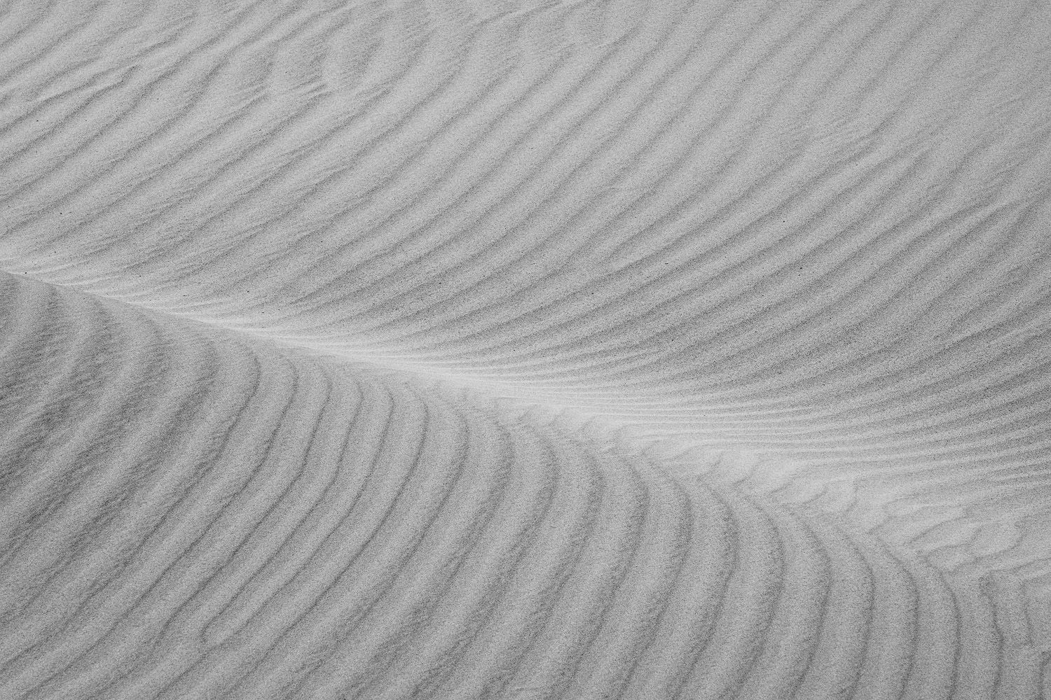 Close-up of rippled sand dunes creating mesmerizing parallel lines and ridges in black and white.