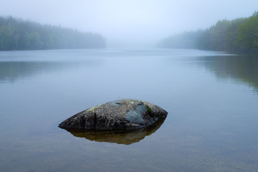 Solitary rock emerges from a misty lake surrounded by forested shoreline on a calm morning.