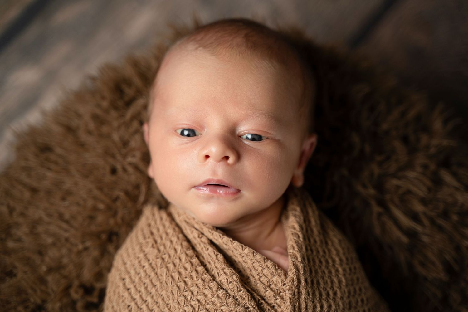 Las Vegas Newborn Photography
