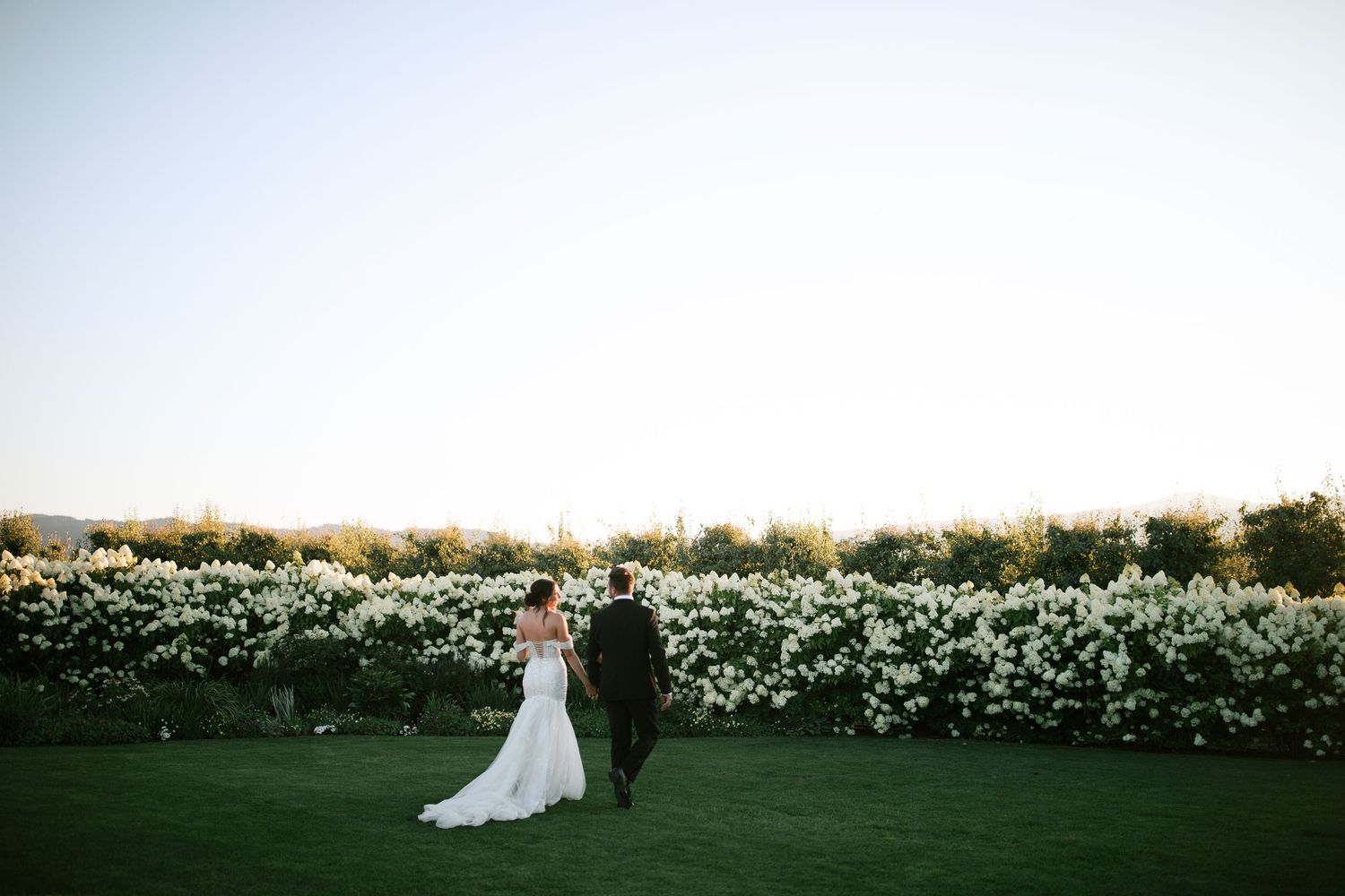 A couple in wedding attire walks along a garden path lined with blooming white flowers at sunset.