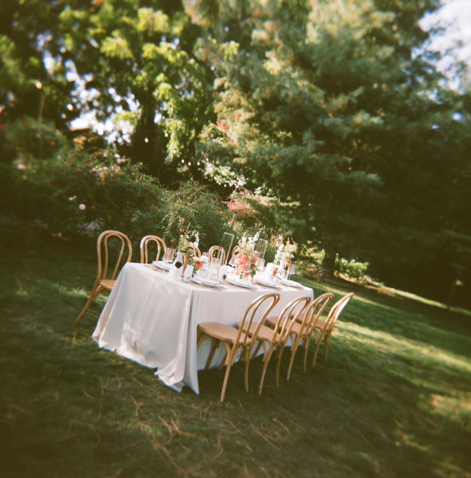 Long white dining tables with wooden chairs set up outdoors in a garden setting for an elegant event.