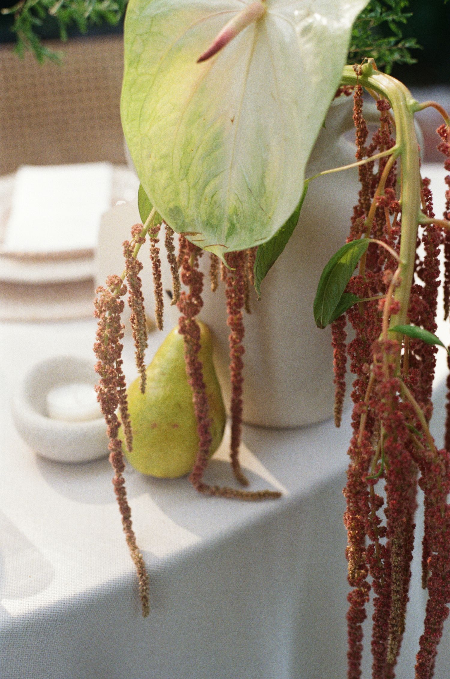 Long brown amaranth flower stalks hang down beside green leaves against a white tablecloth setting.