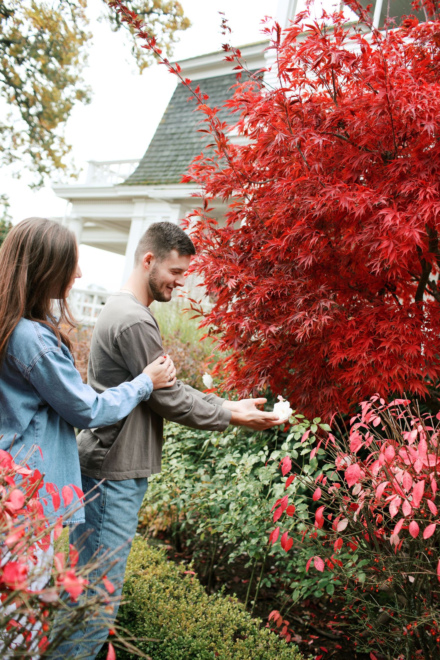 Two people admire the vibrant red Japanese maple tree in front of a white house on an autumn day.