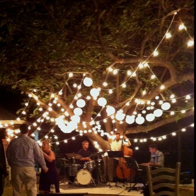 String lights and paper lanterns illuminate an outdoor evening gathering with people seated at tables under trees.