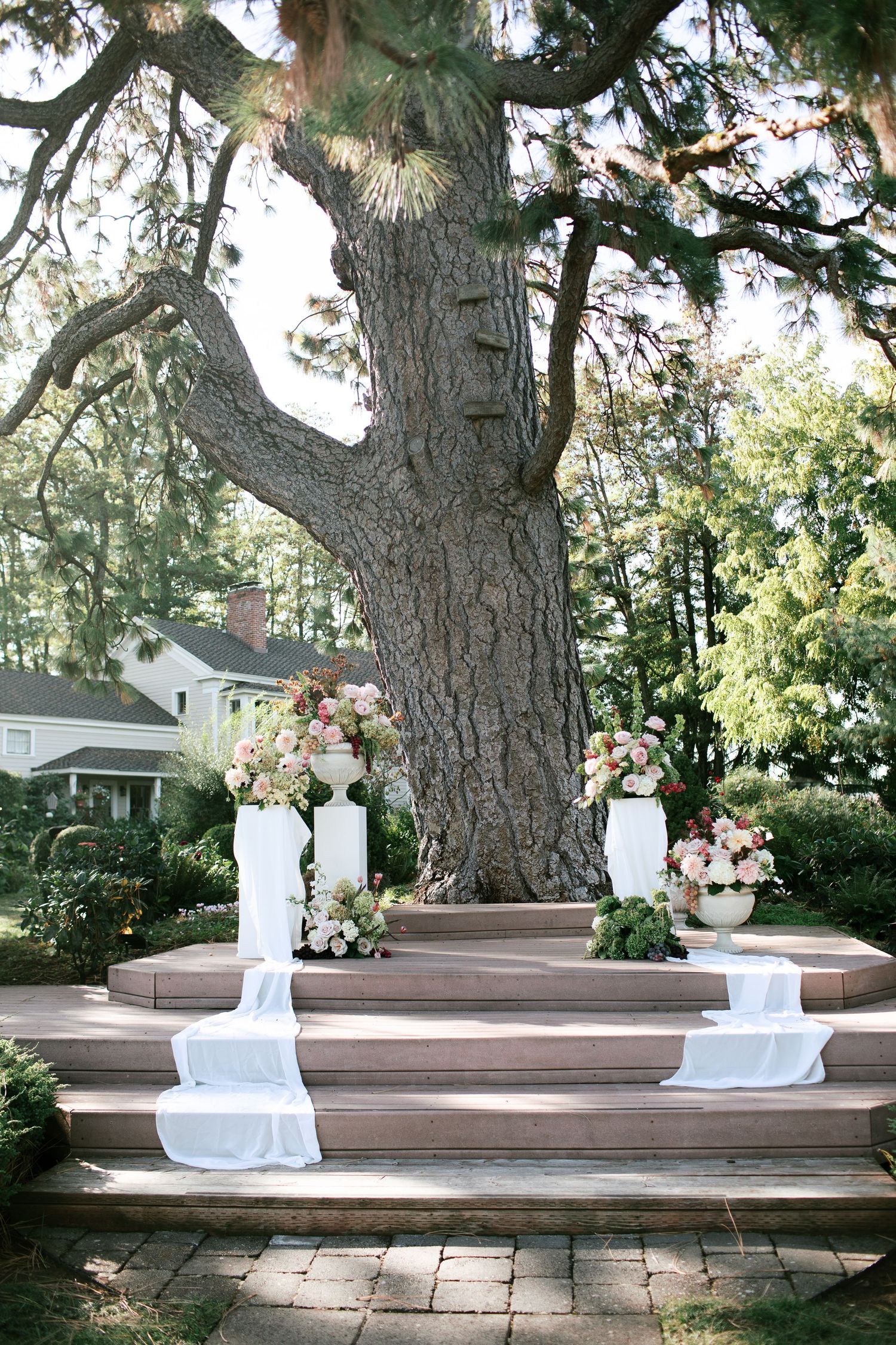 A rustic outdoor seating area features wooden benches beneath tall pine trees with white decorative accents.