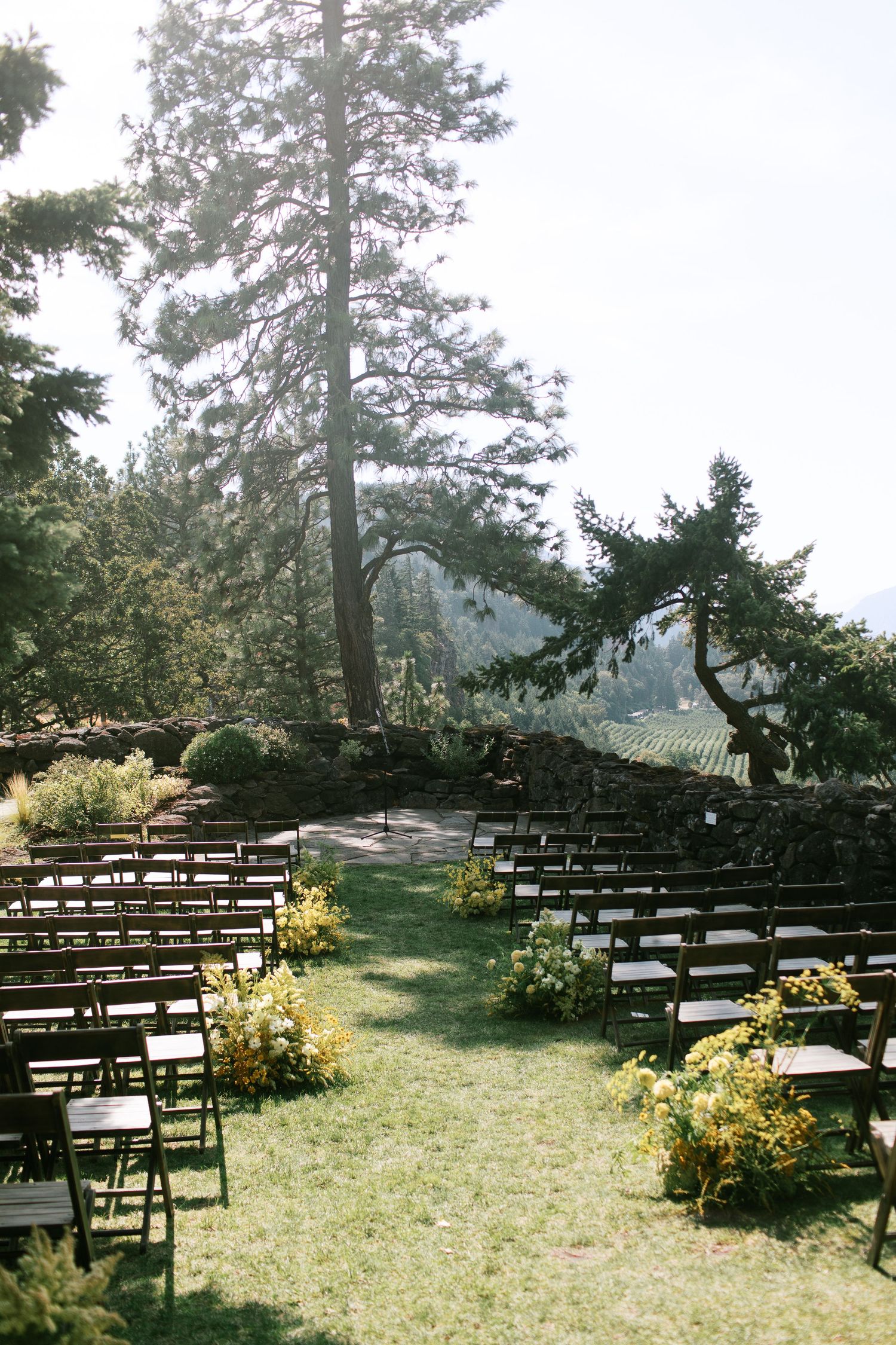 Rows of wooden chairs set up for an outdoor wedding ceremony on a grassy hillside surrounded by tall evergreen trees.
