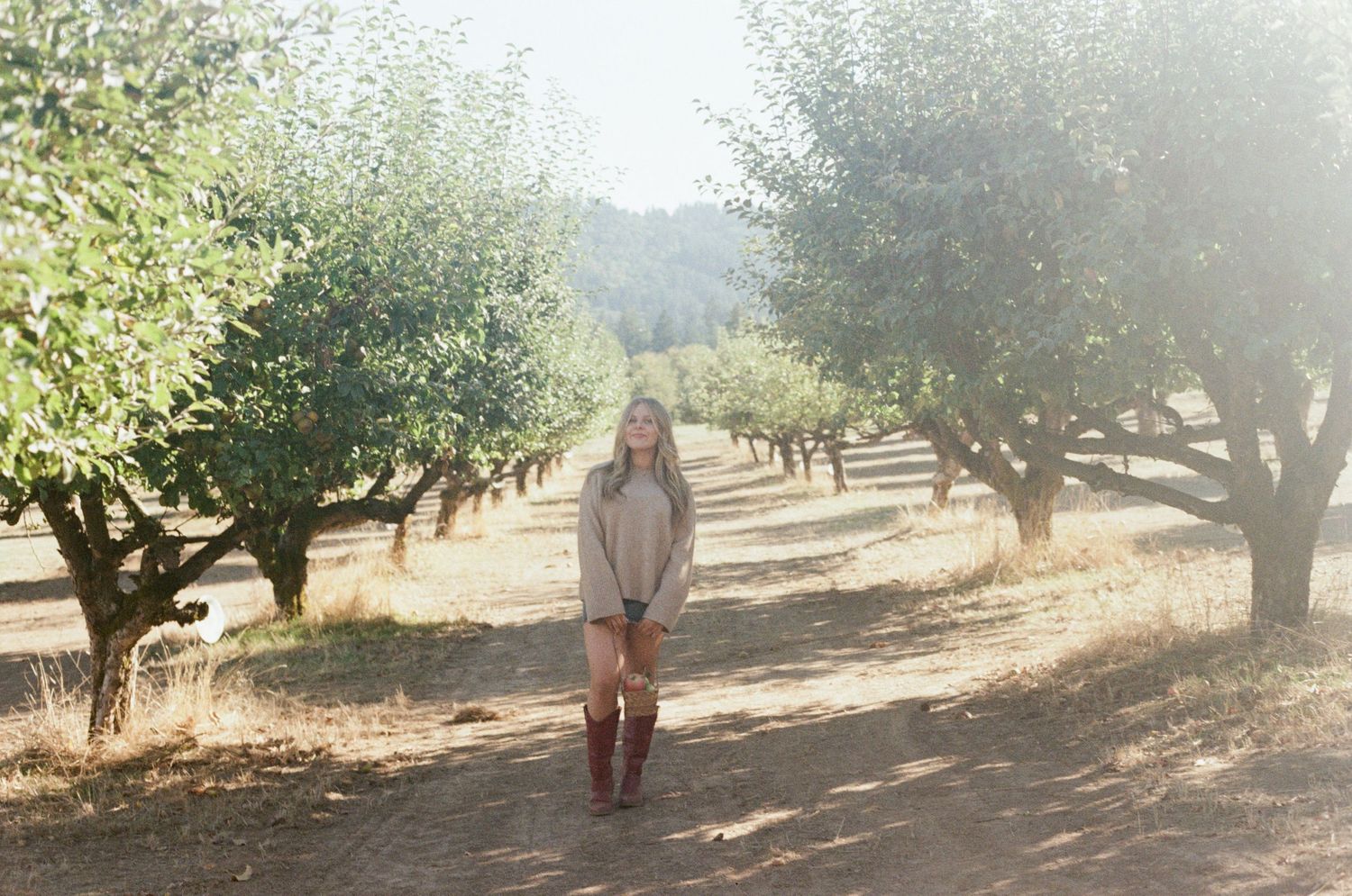 Senior session in dappled sunlight apple orchard rows with trees stretching into the distance on 35mm film-Adrianna Elizabeth Photography.