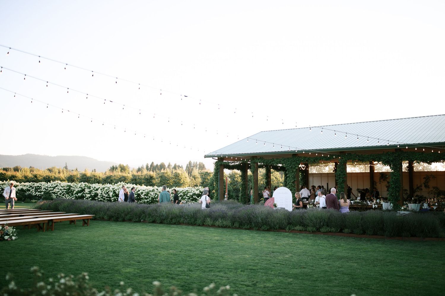 A panoramic view of an outdoor wedding venue with green lawns and white chairs arranged for a ceremony.