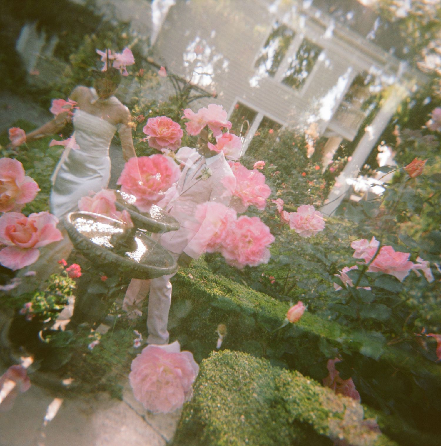 Pink roses and white decorative elements create an ethereal garden wedding setting with romantic lighting and greenery.