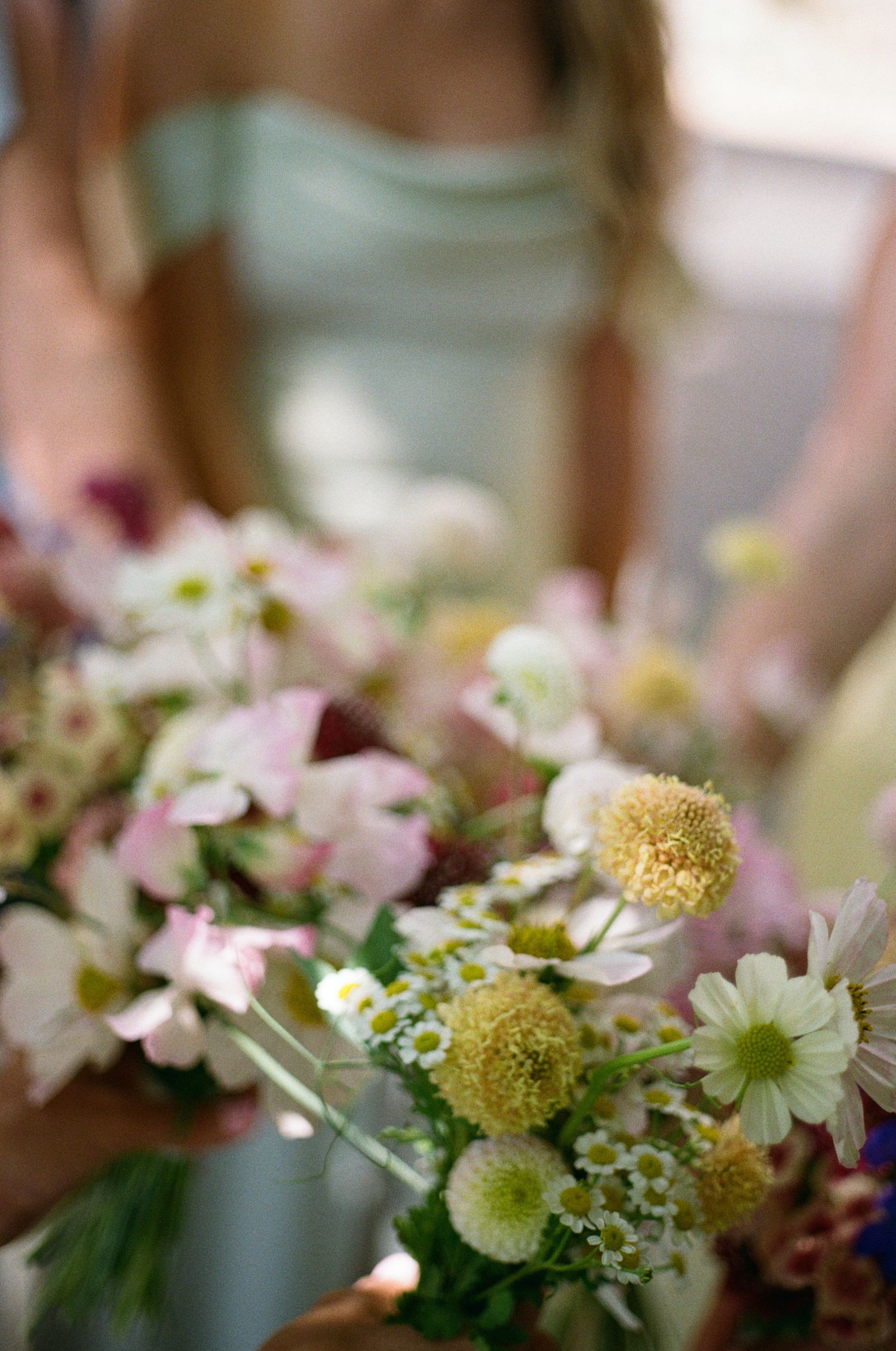 Close-up view of delicate daisies and yellow craspedia flowers in a soft, dreamy floral arrangement.