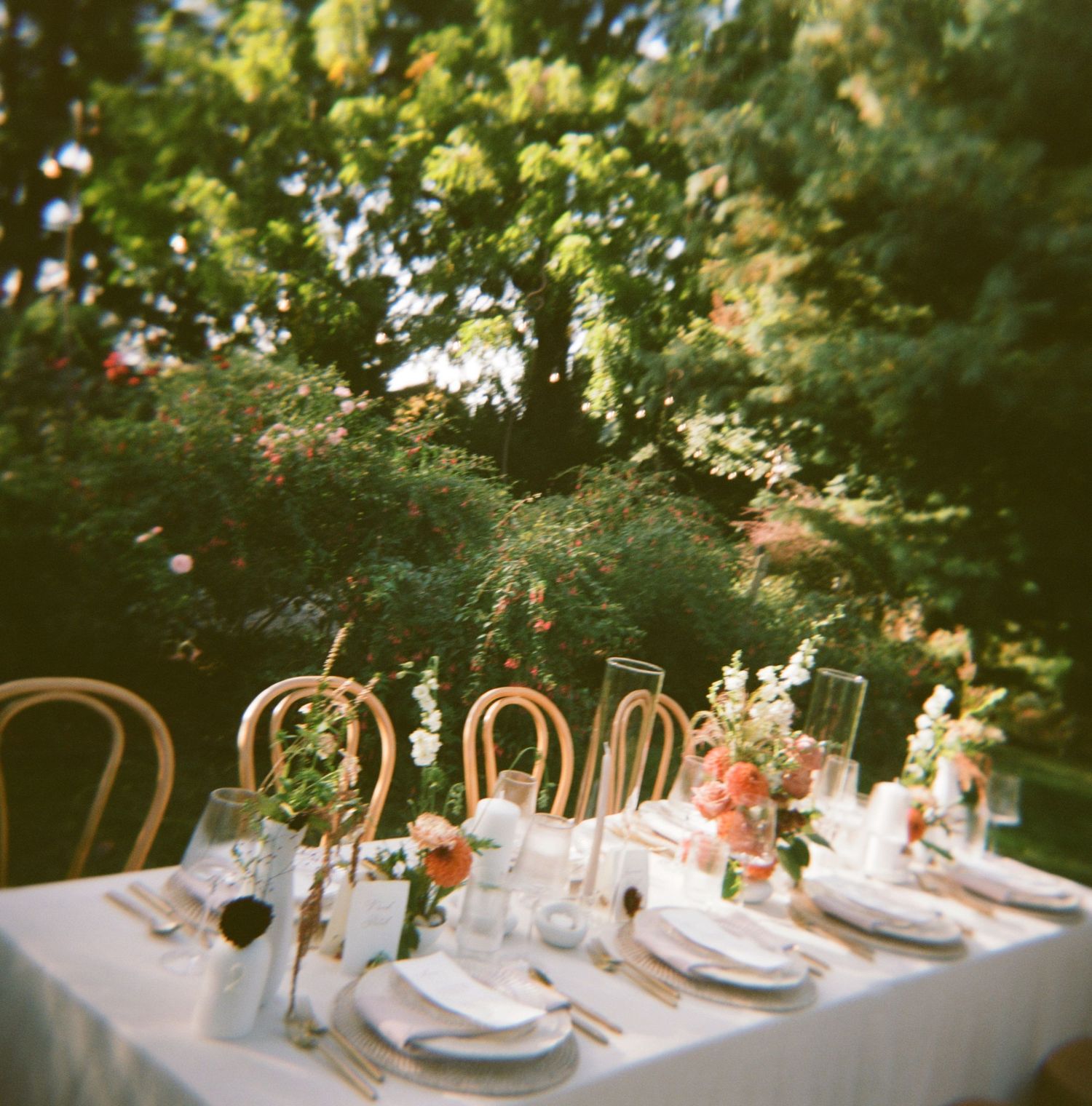 An elegant outdoor garden dining table set with white linens, vintage chairs and floral centerpieces in warm sunlight.
