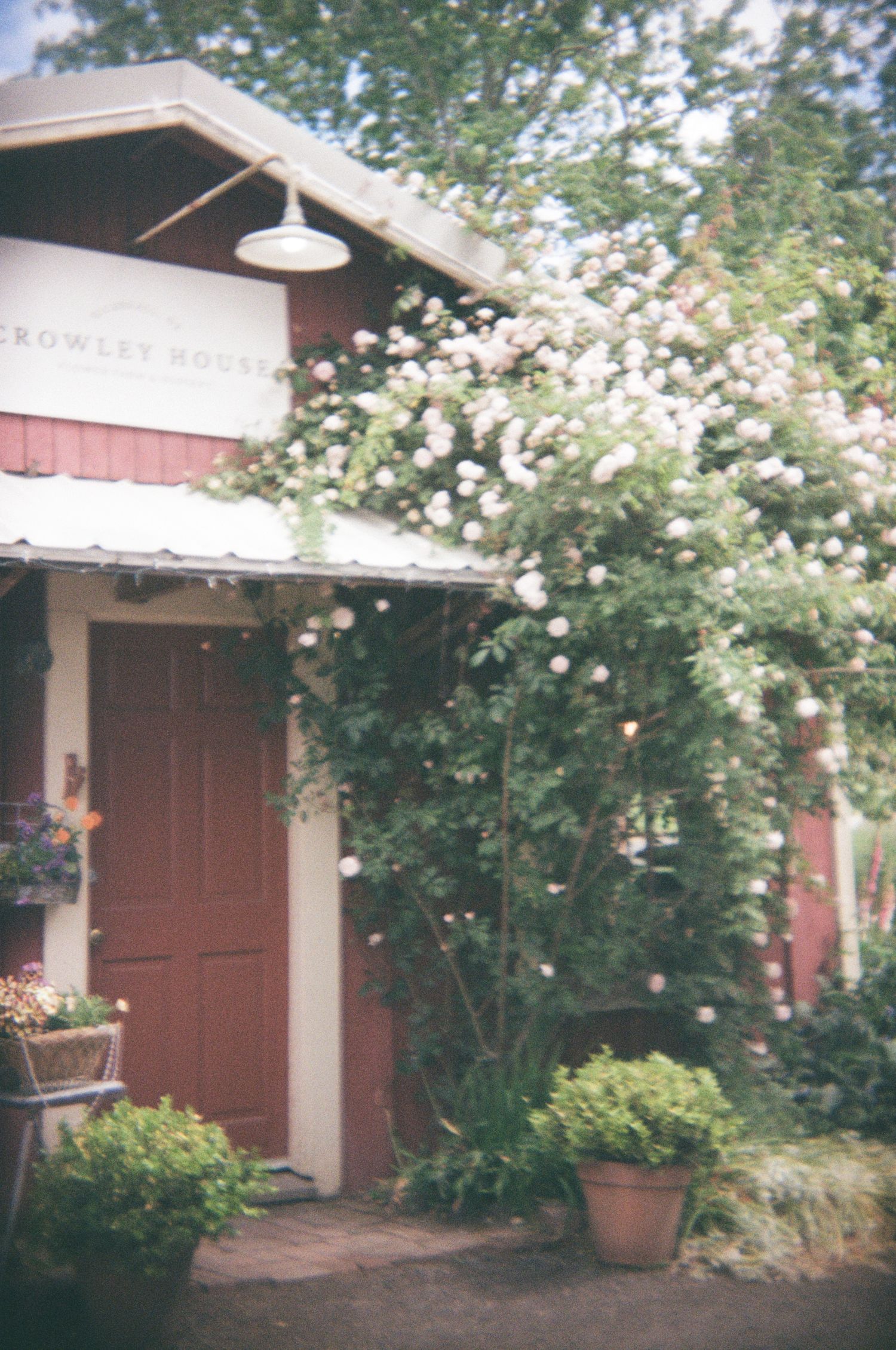 A series of brown garage doors with white trim surrounded by blooming trees and bushes in a residential setting.