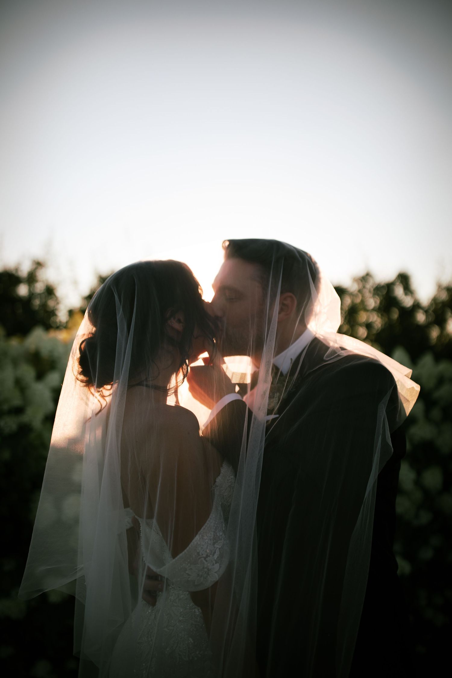 A romantic silhouetted couple shares an intimate kiss under a veil at sunset with trees in the background.