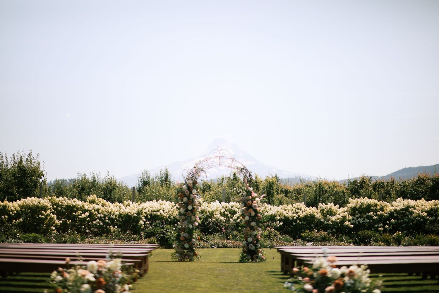 Panoramic view of a scenic mountain landscape with blooming flowers and solar panels in a rural setting.