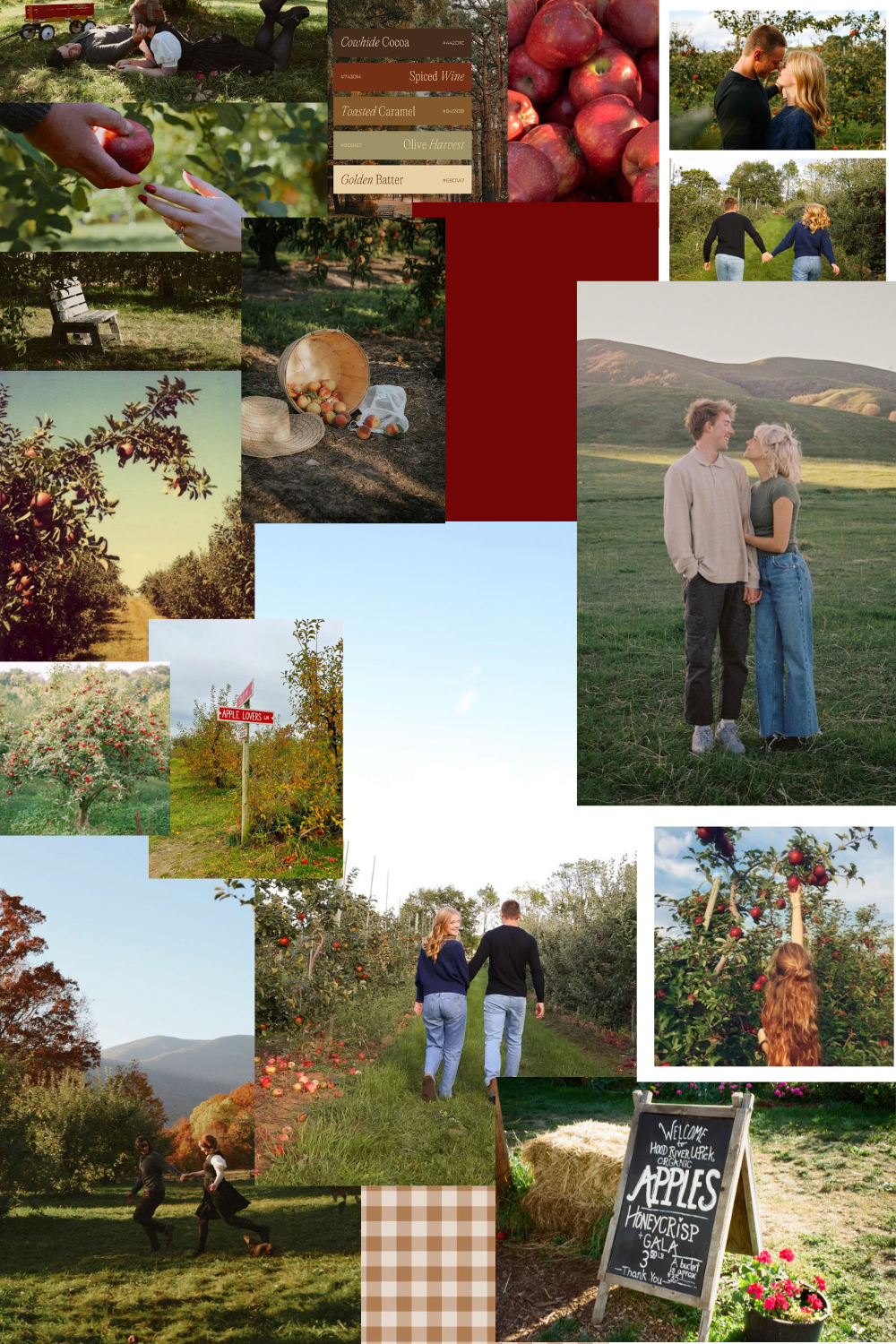 A collage of autumn orchard photos featuring apple trees, picnic settings, and rustic outdoor scenes-Adrianna Elizabeth Photography.
