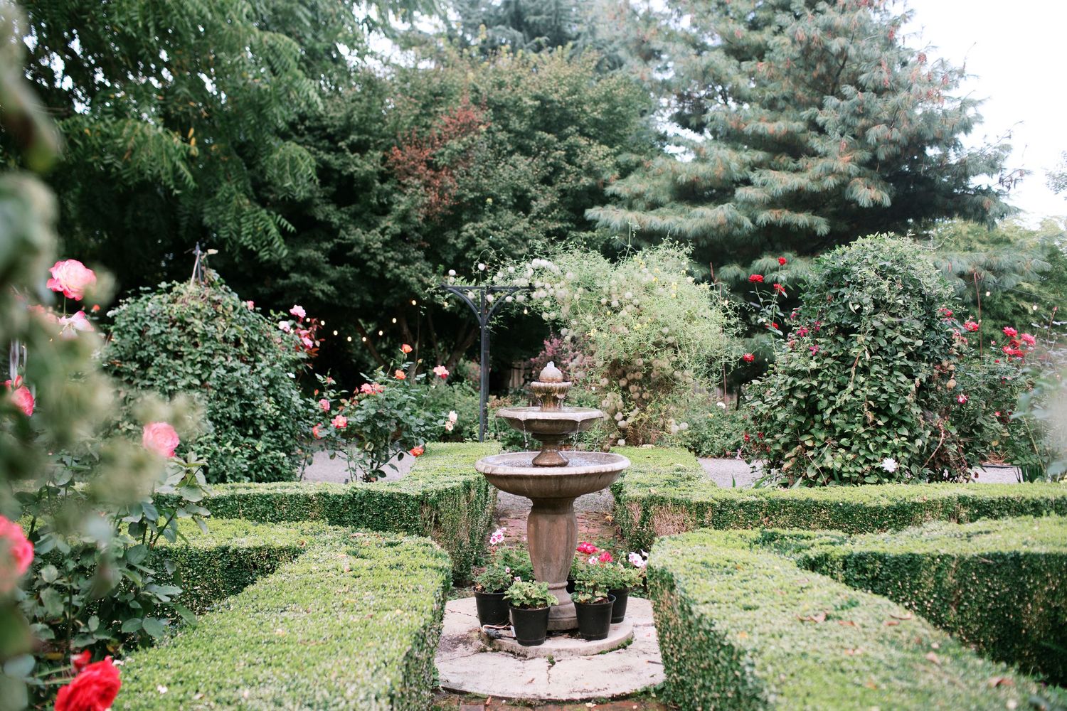 A serene garden path leads to a stone fountain surrounded by lush greenery and blooming red flowers.