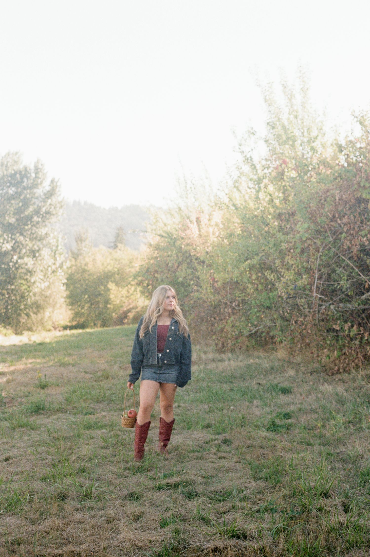A grassy hillside with apple trees and bushes in soft natural lighting on 35mm film-Adrianna Elizabeth Photography.