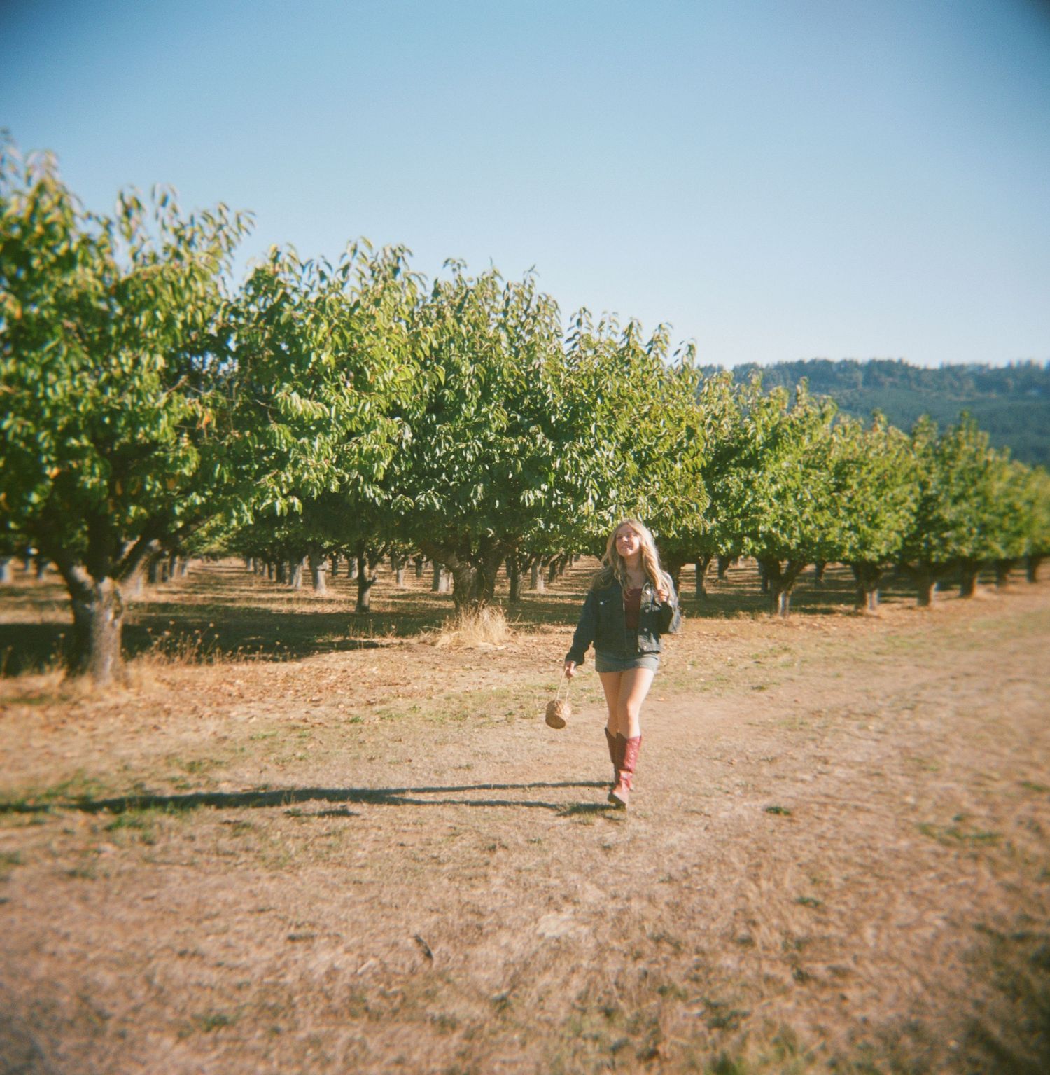 Sun-drenched senior session in orchard landscape with rows of apple trees on dry ground on 120 film-Adrianna Elizabeth Photography.