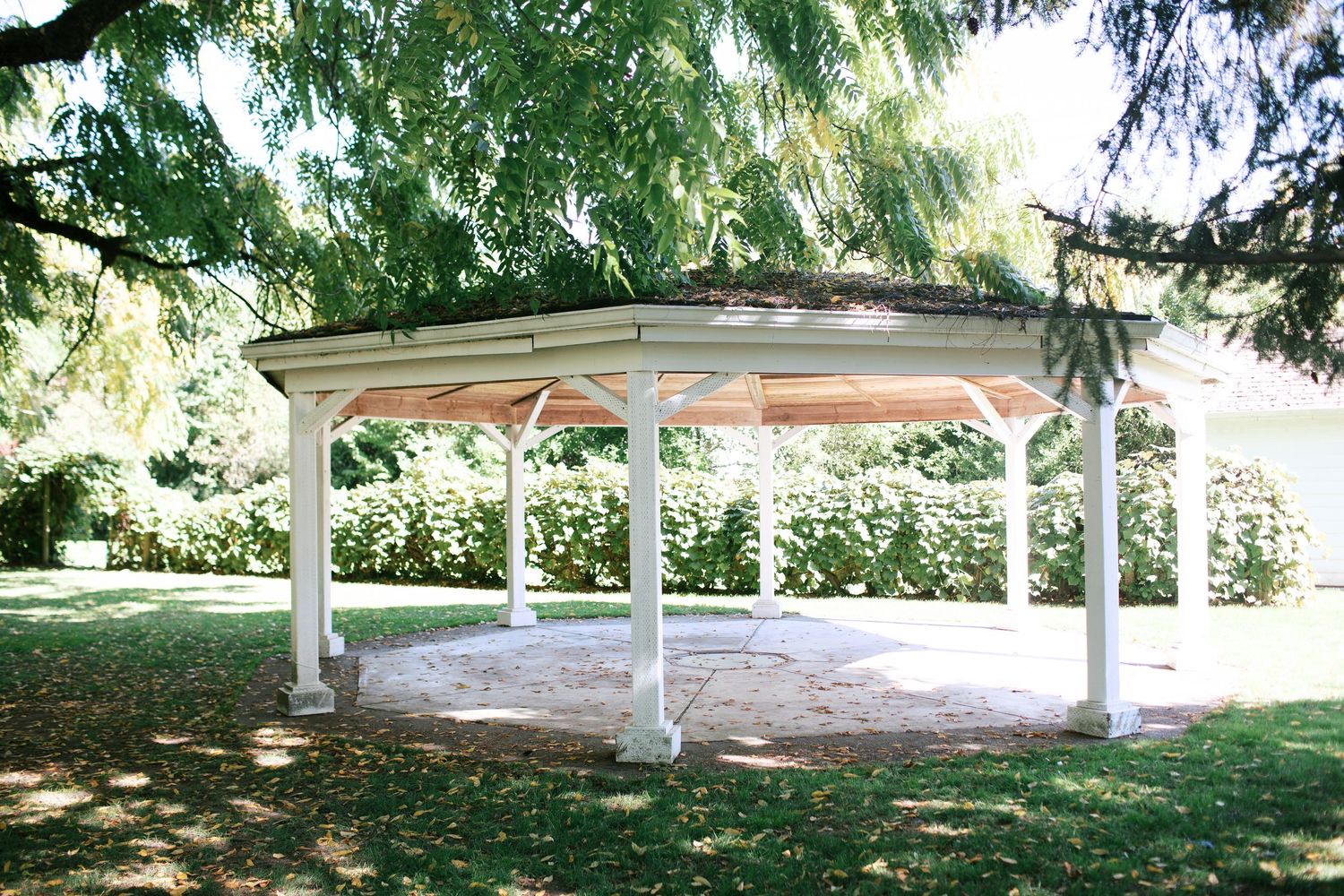 White wooden pergola structure provides shade in a peaceful garden setting surrounded by lush green trees.