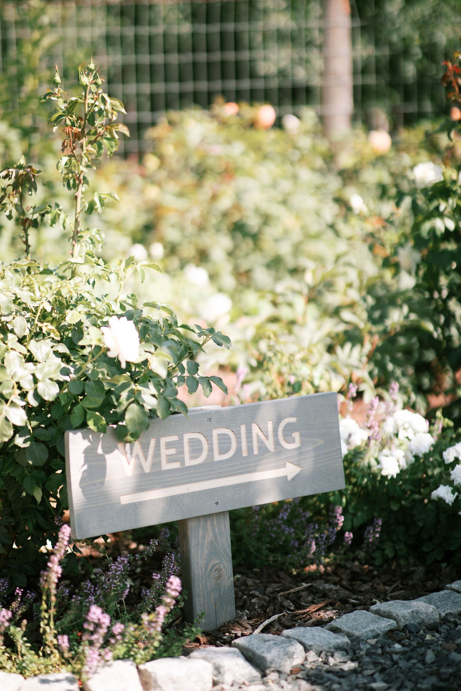 A rustic wooden wedding sign surrounded by blooming white flowers and greenery in a garden setting.
