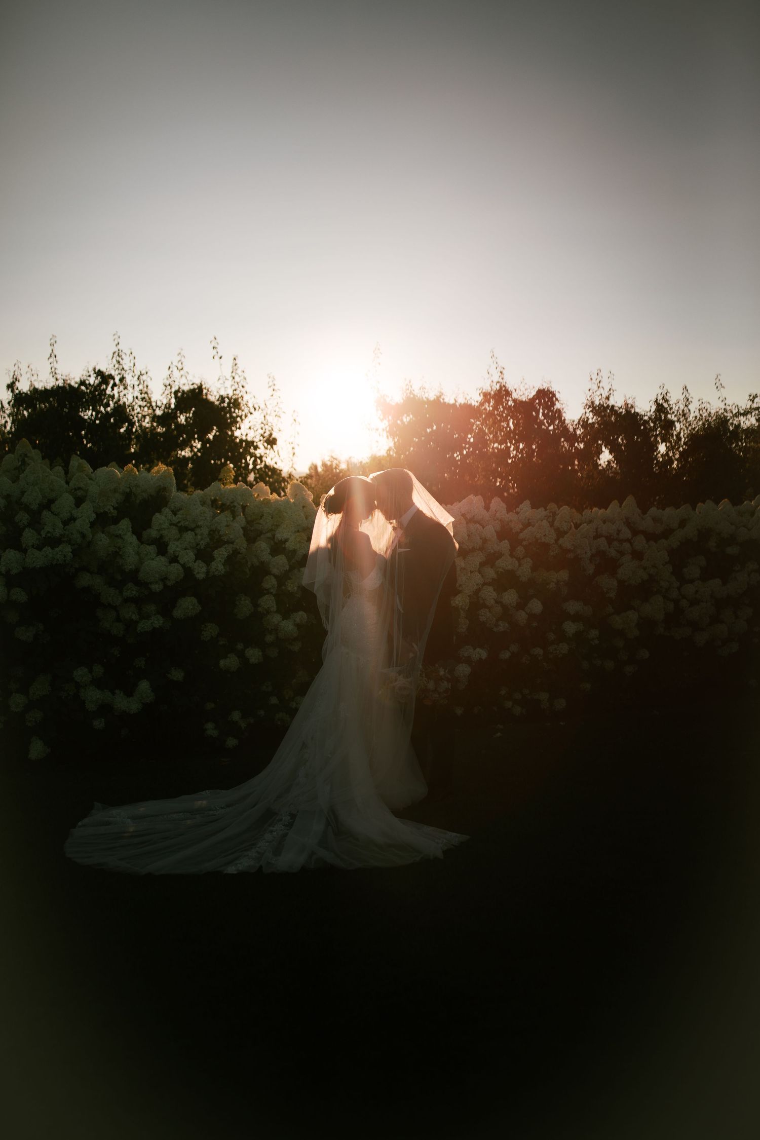 A silhouetted couple in wedding attire embraces during sunset with a dramatic backlit glow through trees and bushes.