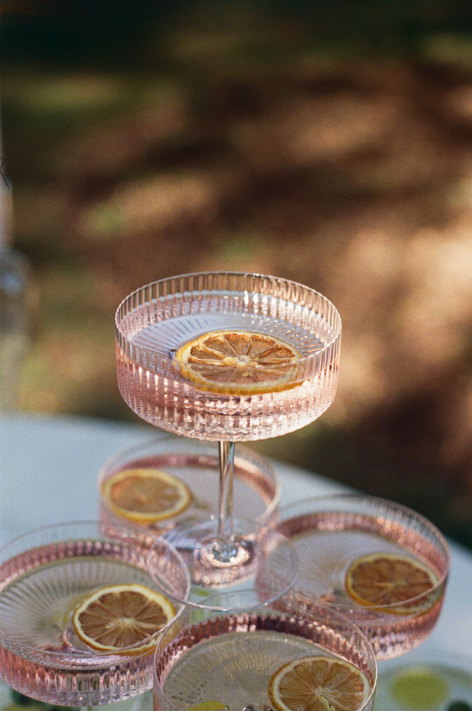 Pink glass cake stand decorated with dried citrus slices arranged in an artistic pattern against a blurred background.
