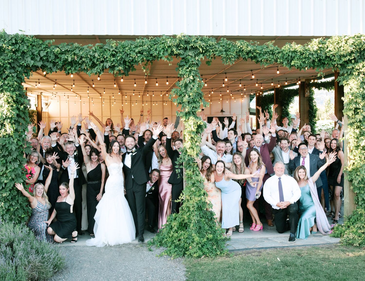 Wedding reception guests celebrating under a pergola decorated with string lights and greenery at an outdoor venue.