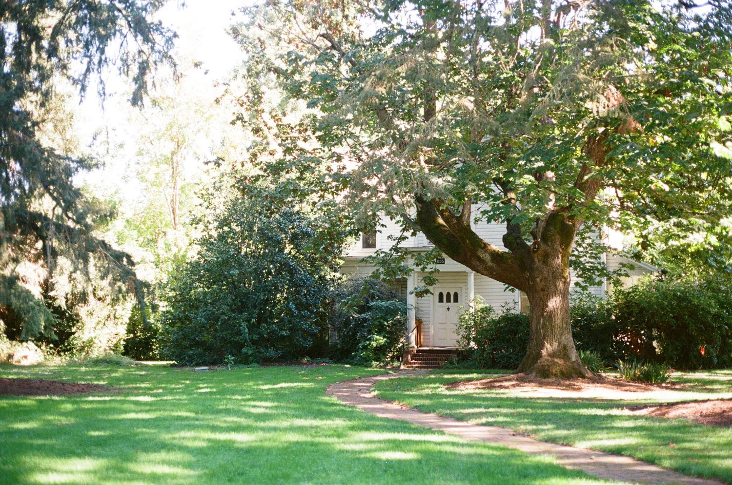 Scenic garden pathway with stepping stones winding through lush green grass and mature trees in a tranquil setting.