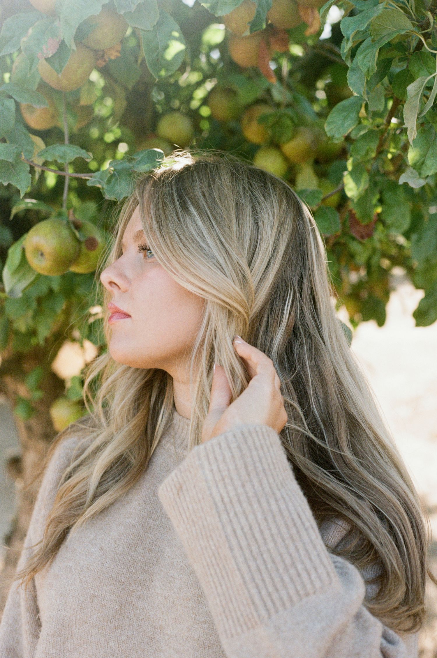 Senior in sunlit apple orchard with green foliage and ripe fruit hanging from branches on 35mm film-Adrianna Elizabeth Photography.