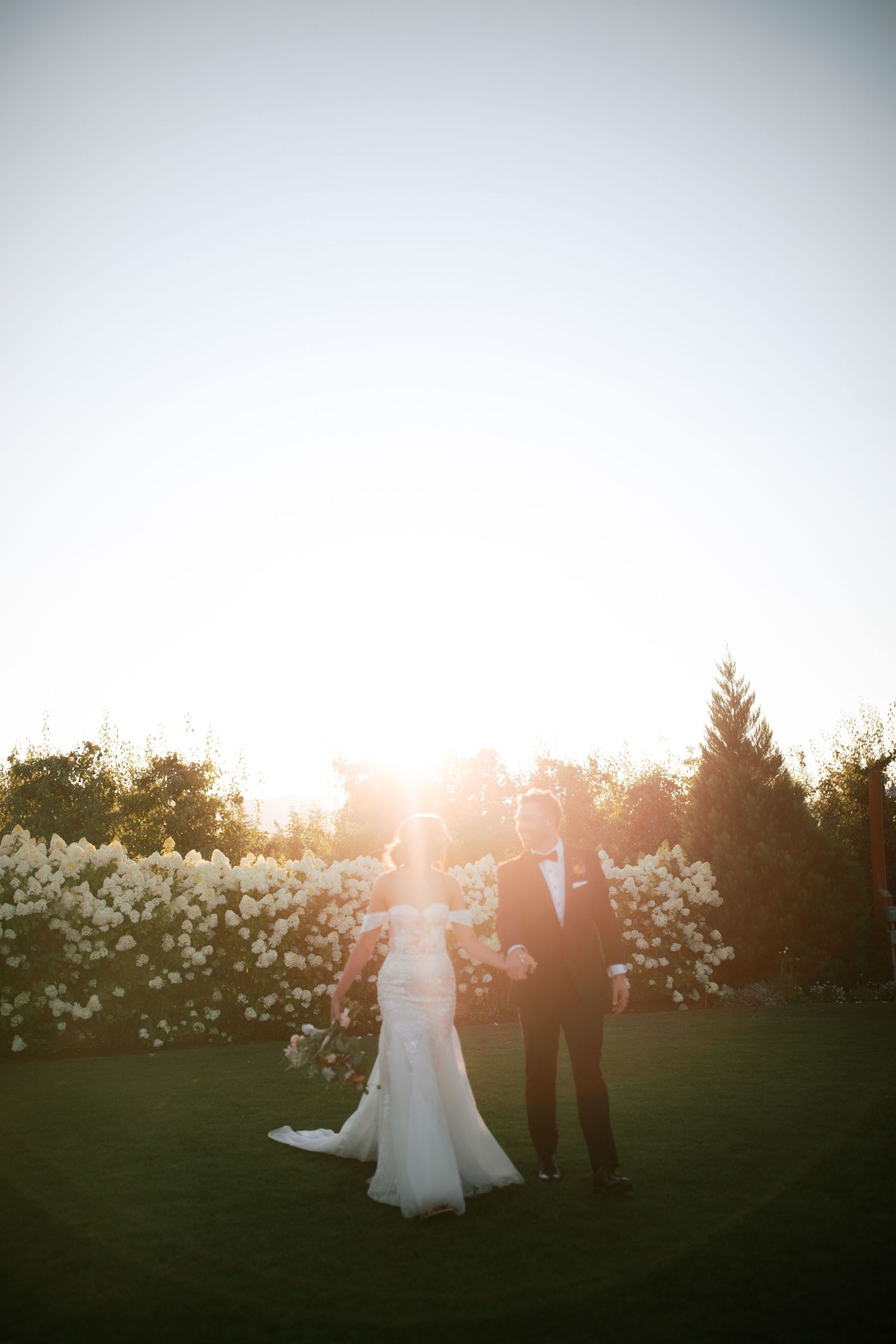 Bride and groom stand on lush green lawn at golden hour, backlit by warm sunset glow with white floral hedges behind.