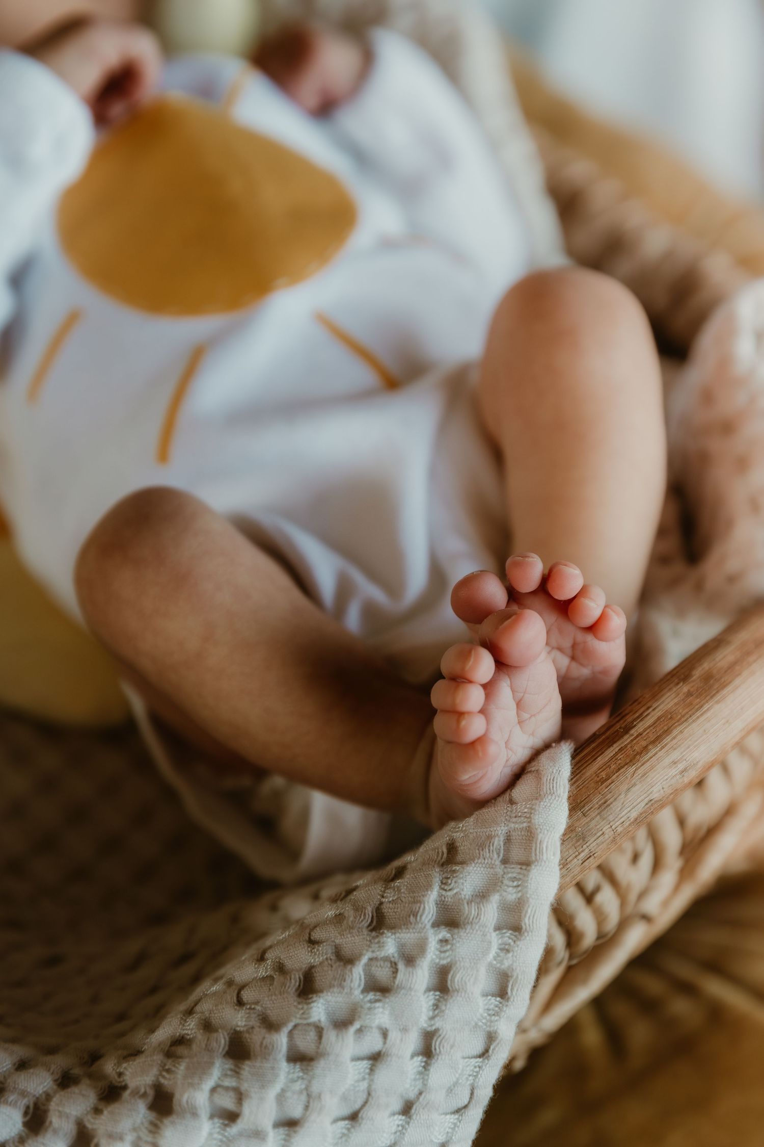 Newborn laying in basket during a lifestyle newborn session with Central Illinois Family Photographer