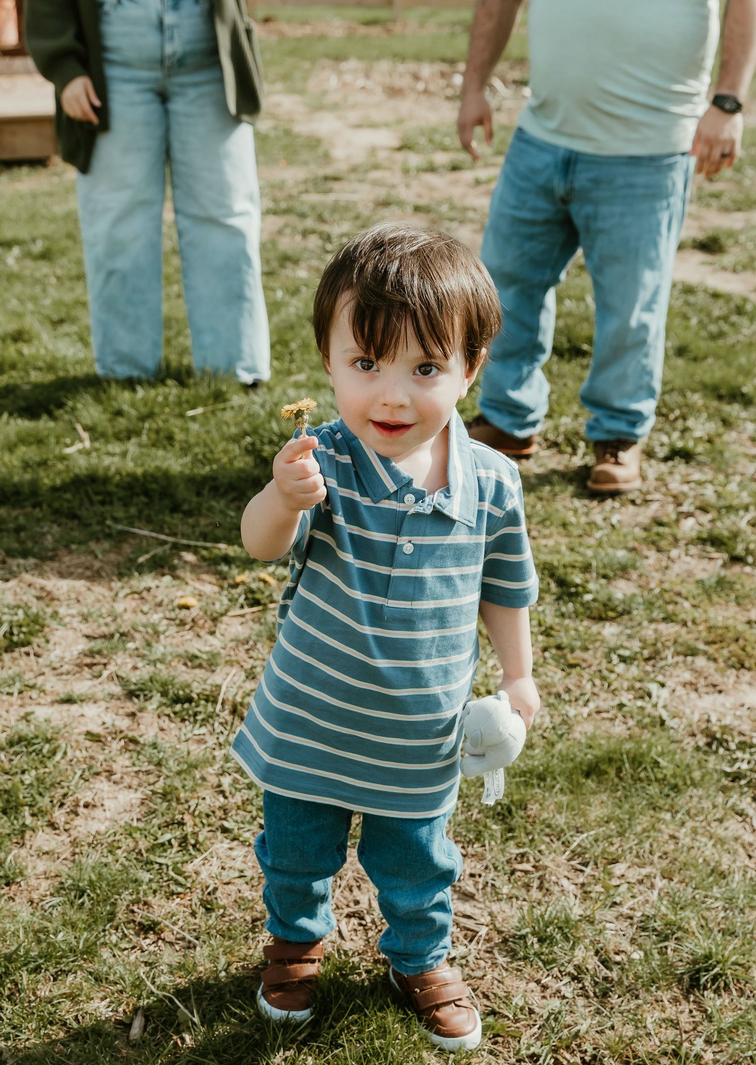 Child holds a dandelion to a central il photographer during a flower picking session