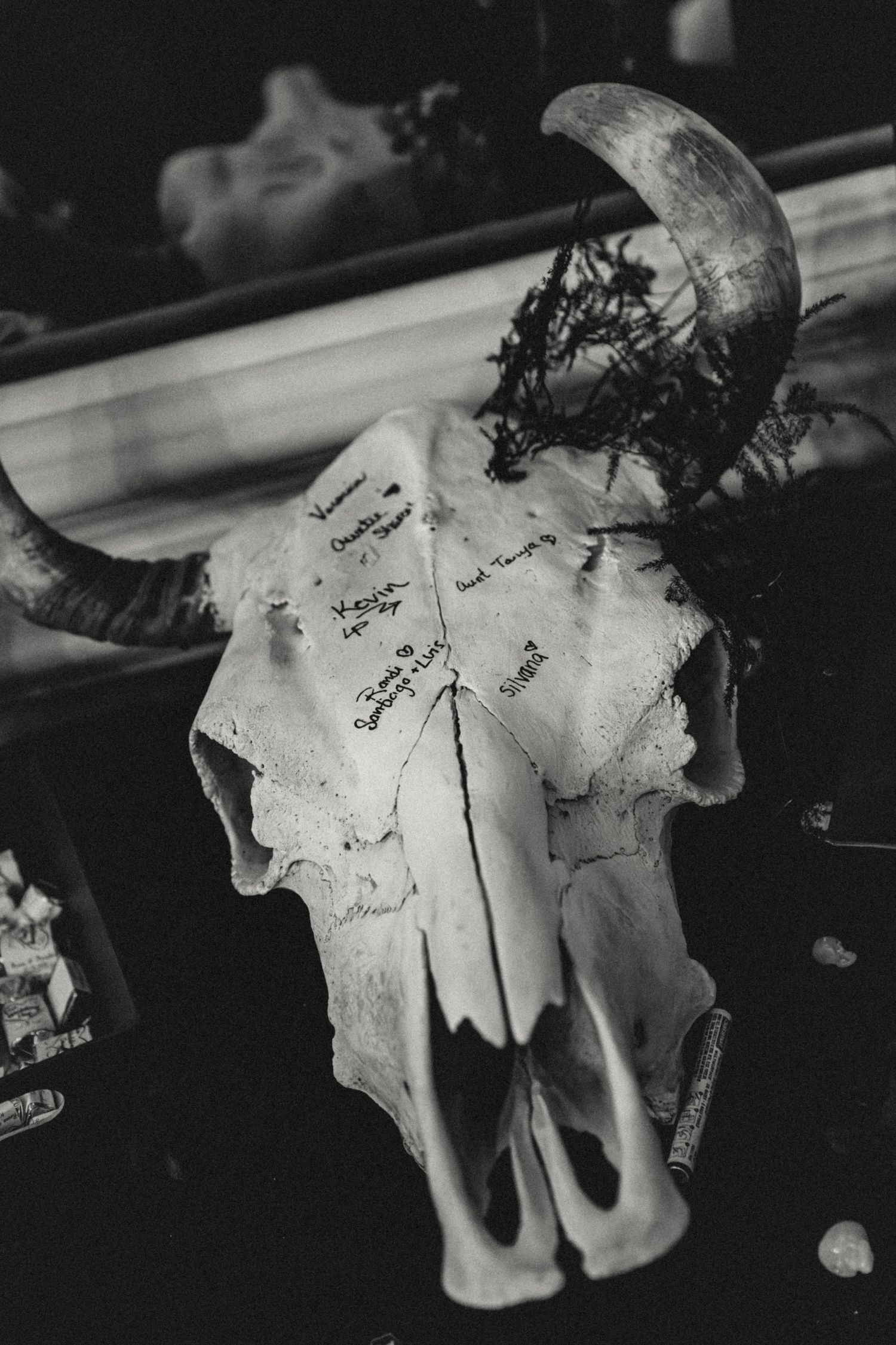 Skull head for guests signatures detail photo captured by illinois elopement photographer