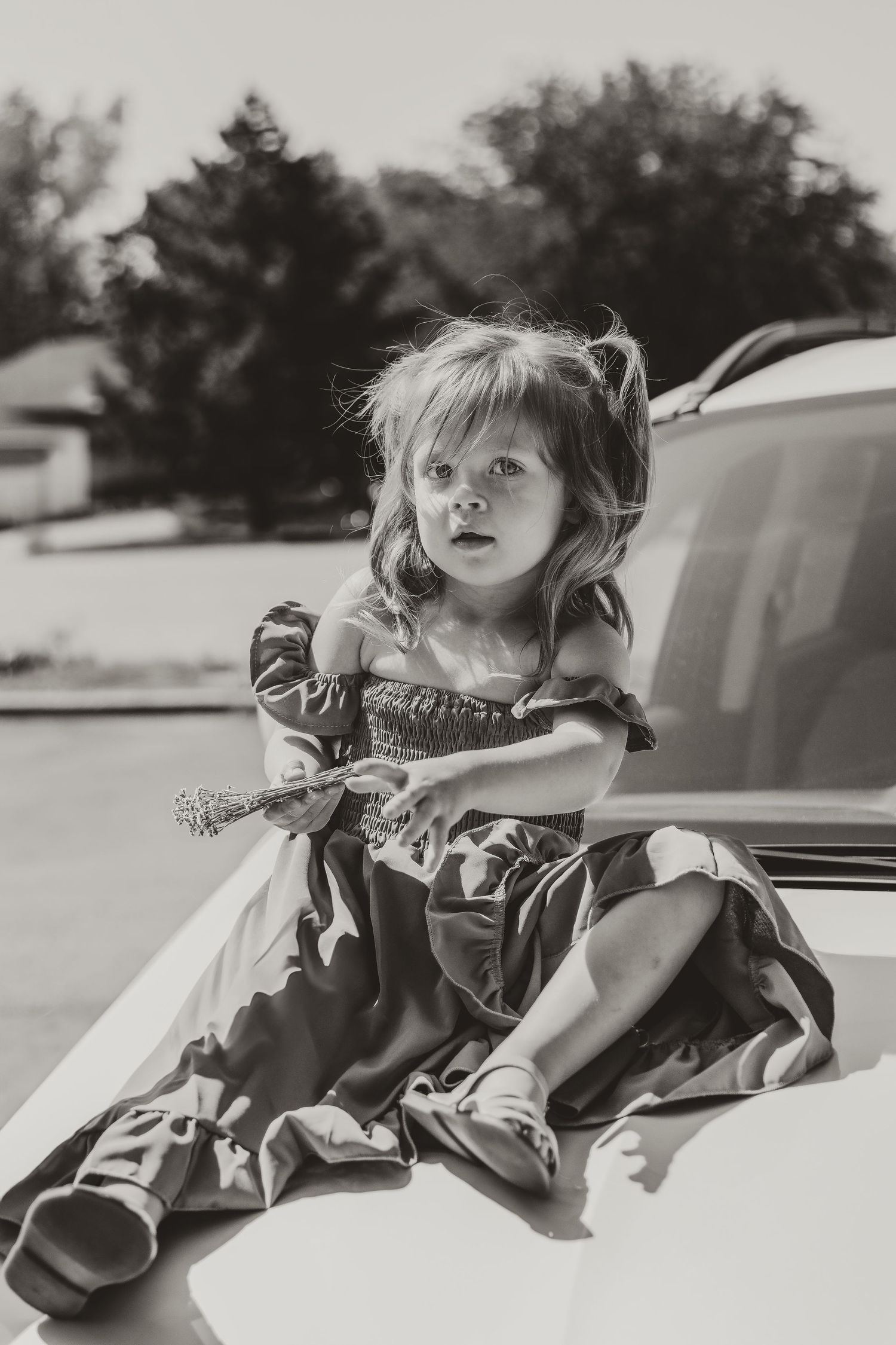 Timeless photo of a child holding flowers while seated on a hood, captured by bloomington illinois photographer