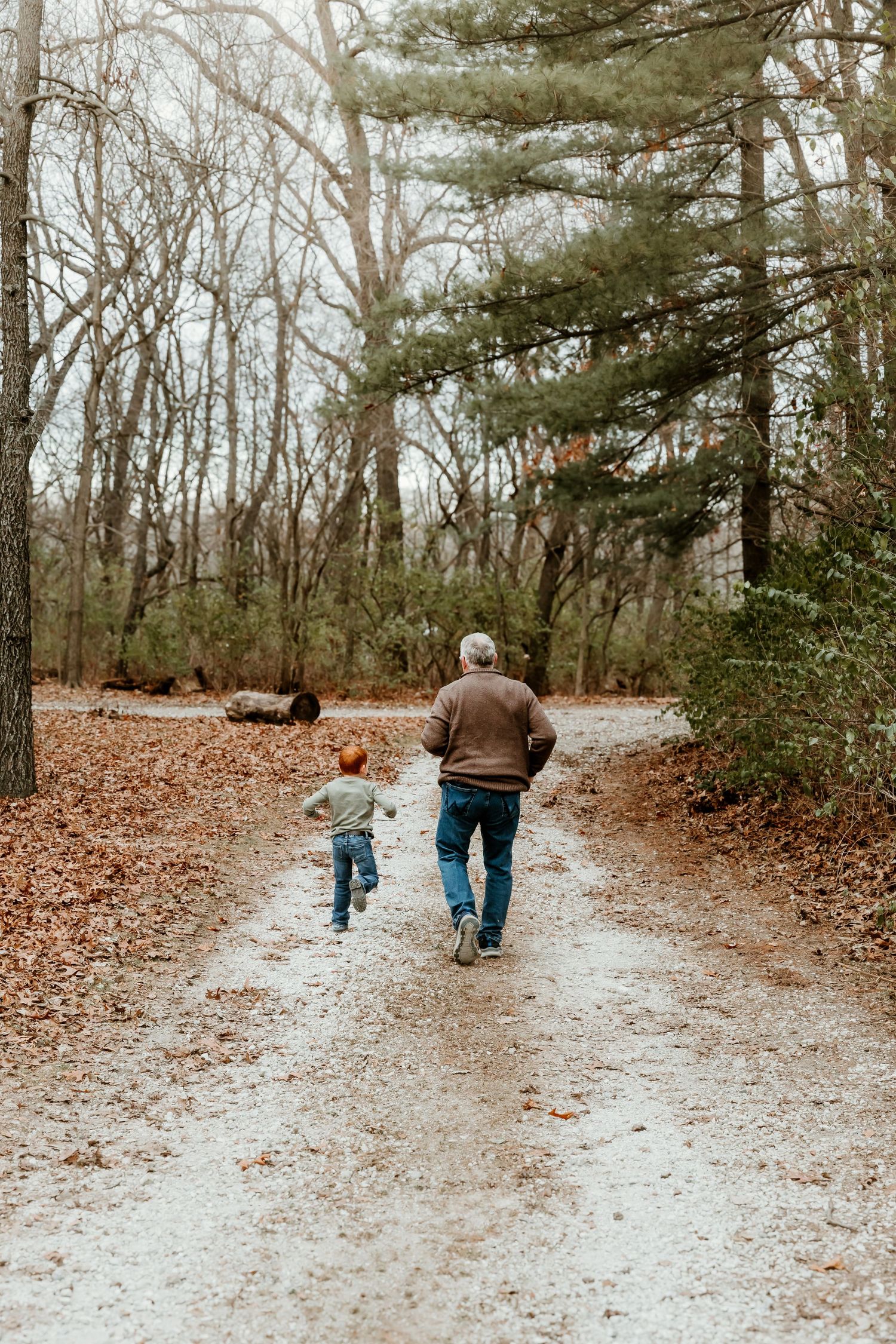 Sehl Photography Bloomington IL photographer captures a quiet woodland walk—intergenerational connection, soft stillness, and poetic nostal