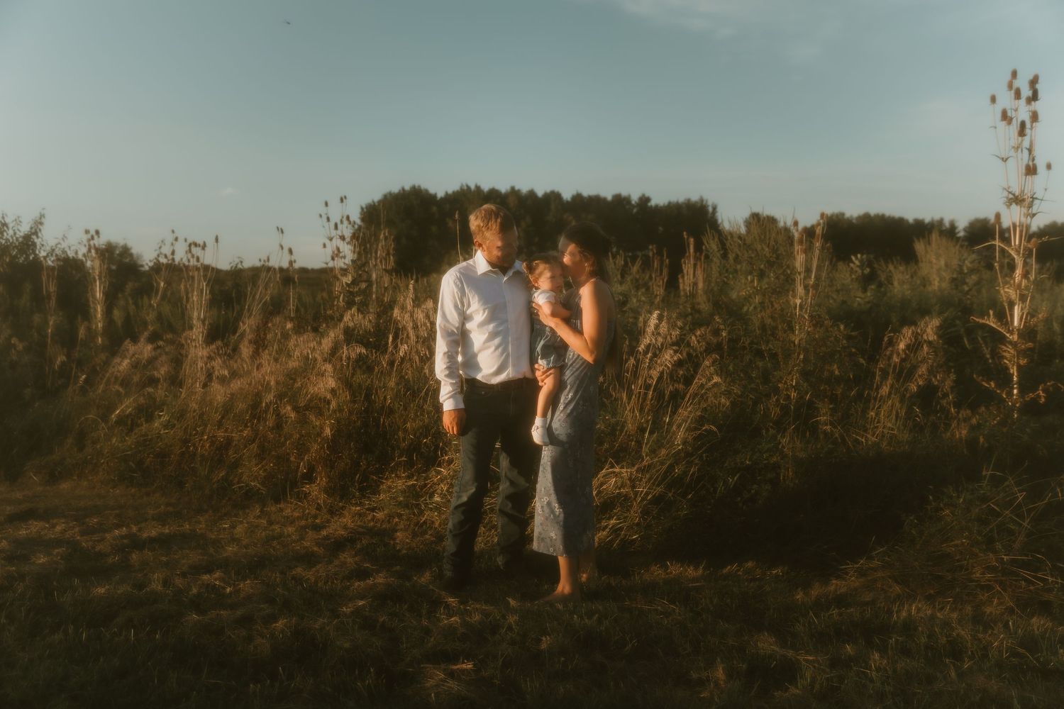 Family cuddling in a flower field and basking in the golden light during a family photo session in Bloomington, IL