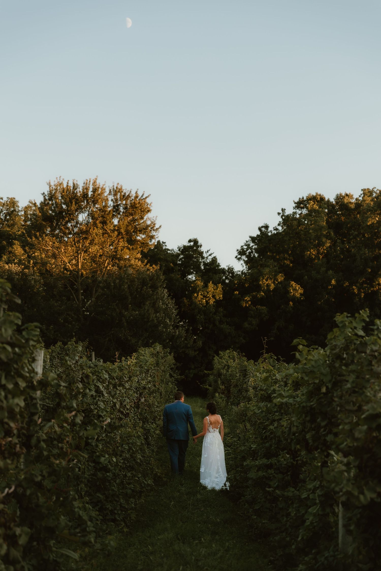 Bride and Groom take a stroll through the vineyard during wedding portraits with illinois wedding photographer