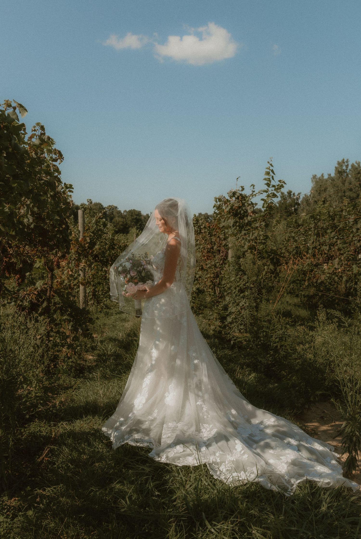 Bride's portraits in the middle of a vineyard at Tabor Hill Winery in Buchanan, MI captured by michigan elopement photographer