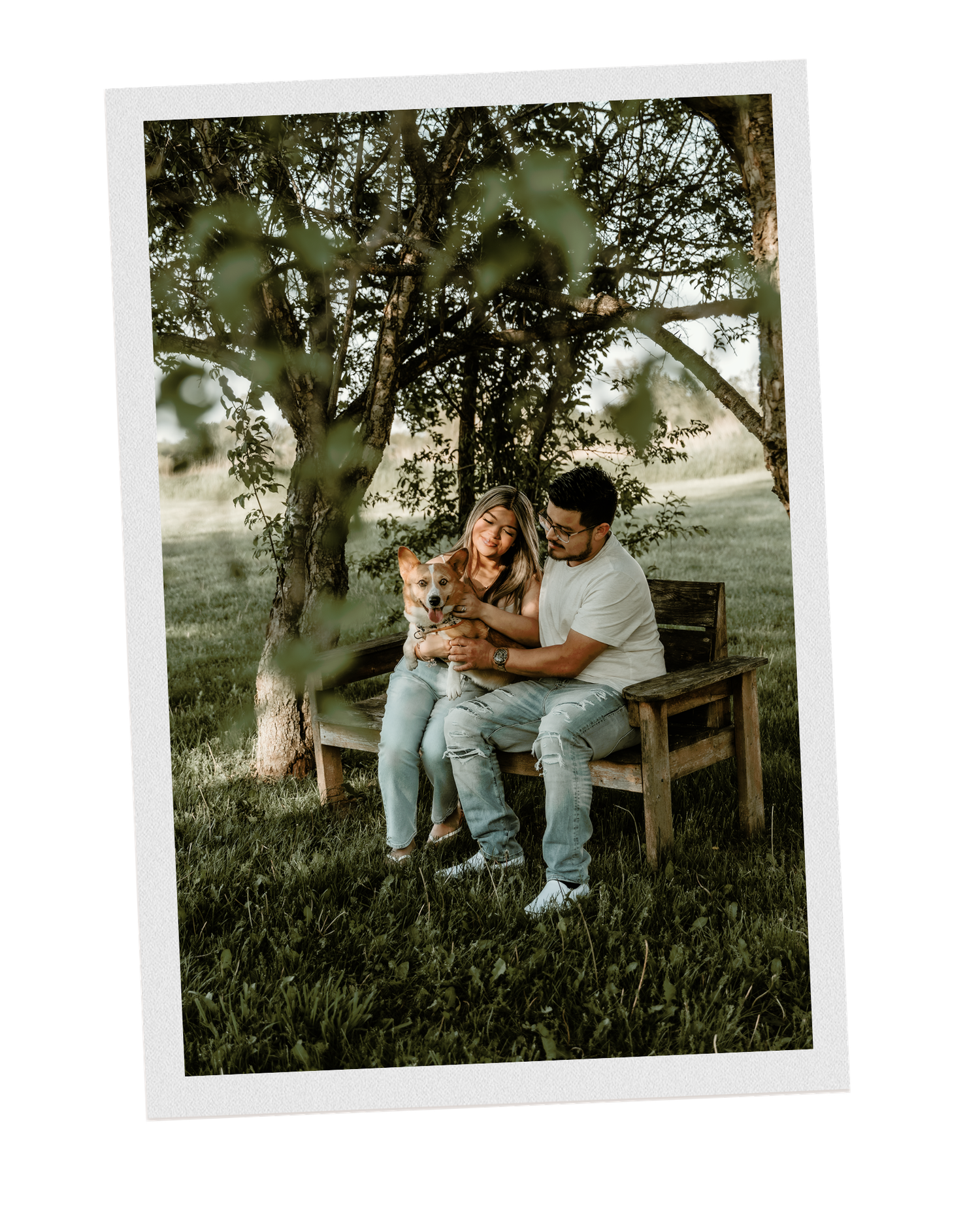 Couple sitting on a bench holding their dog, surrounded by lush greenery during a couple photo session