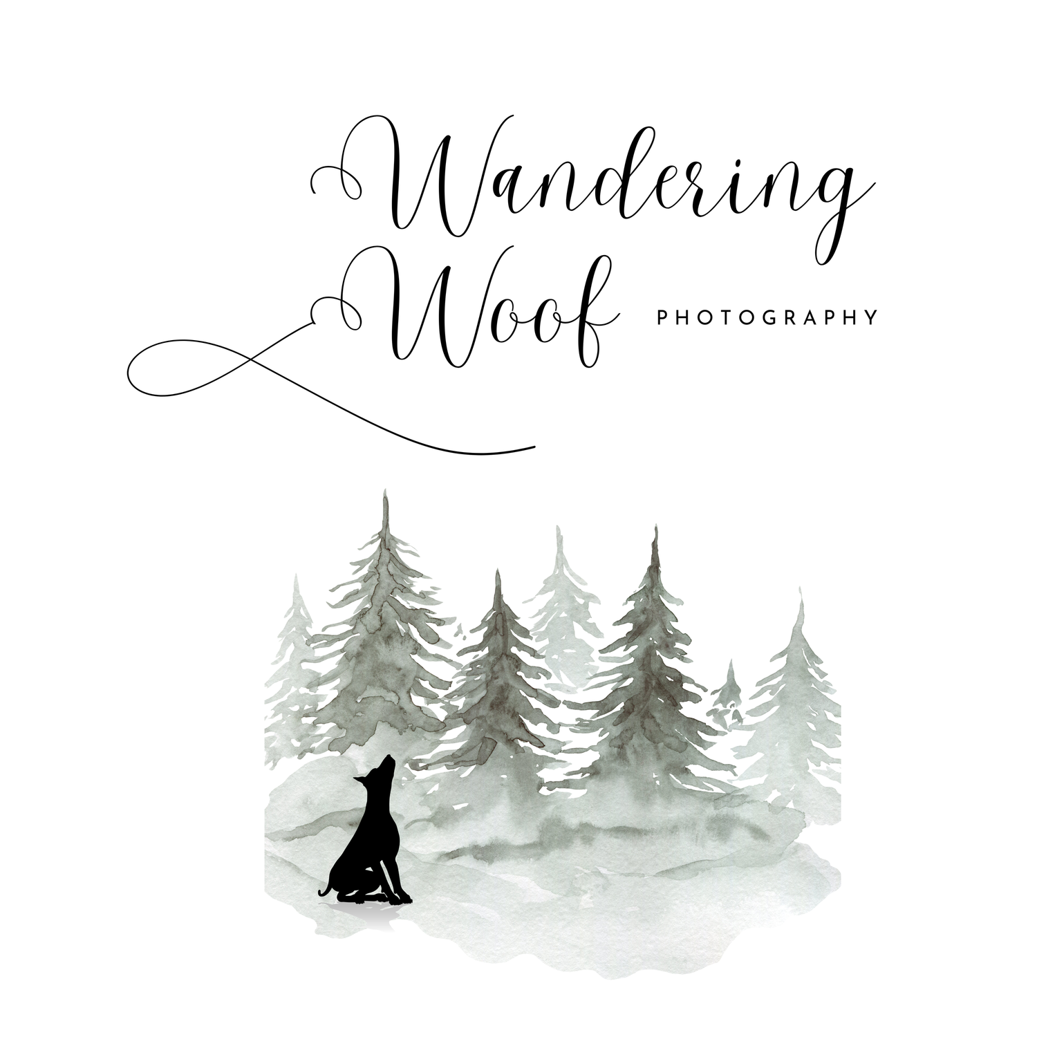 Wandering Woof Photography logo with elegant script text above a watercolor winter forest scene featuring a dog silhouette.