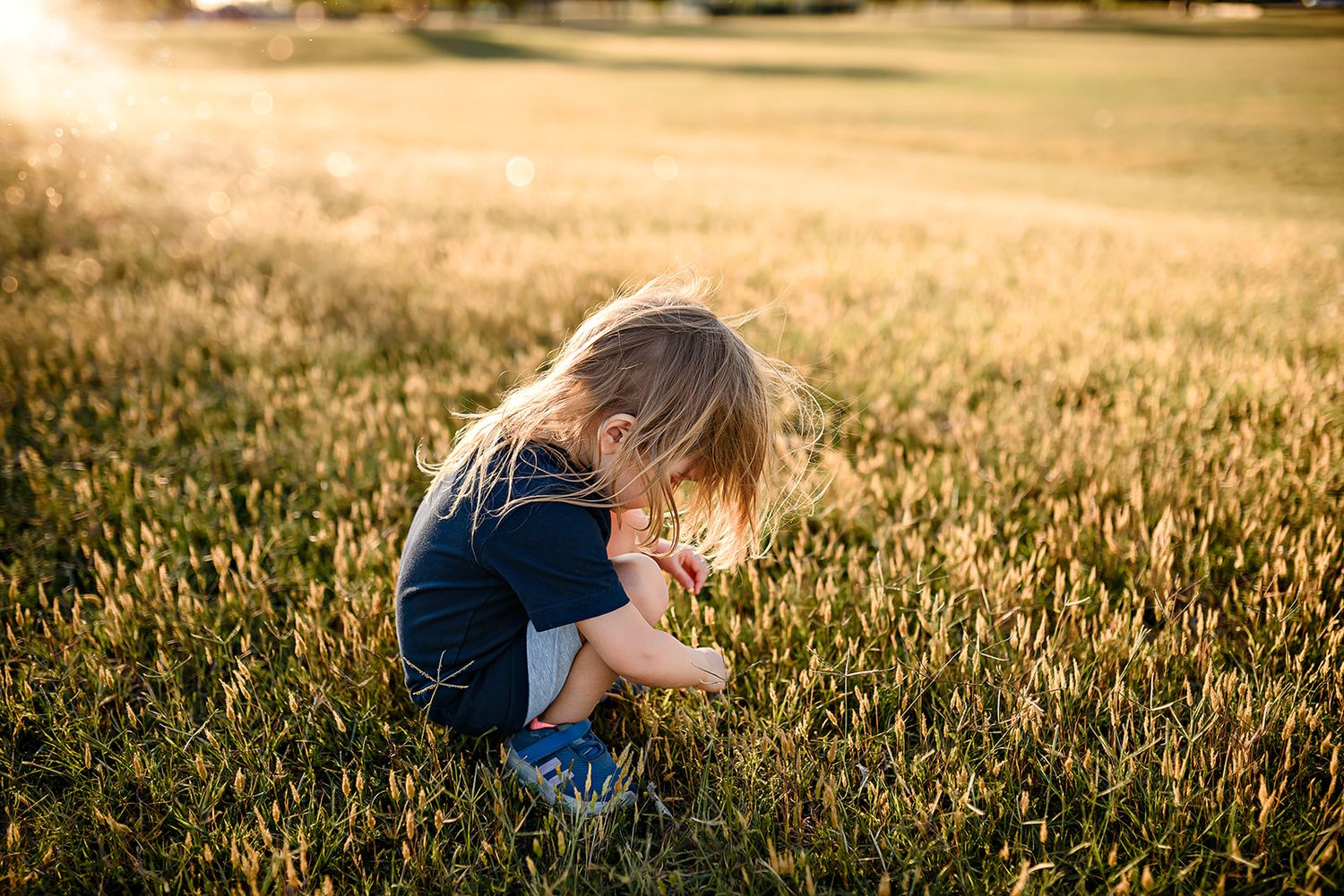 A small girl explores the golden grass in a park at sunset as warm sunlight illuminates the scene.