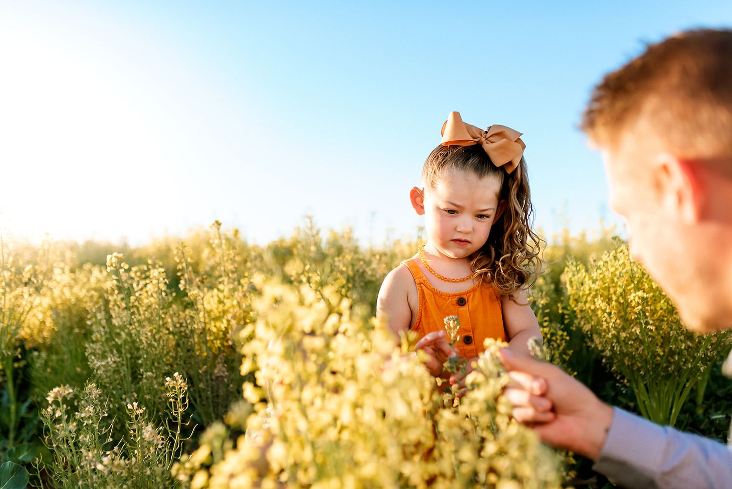 Little girl curiously examining flowers with dad during golden hour family portraits in Buckeye, West Valley Phoenix.