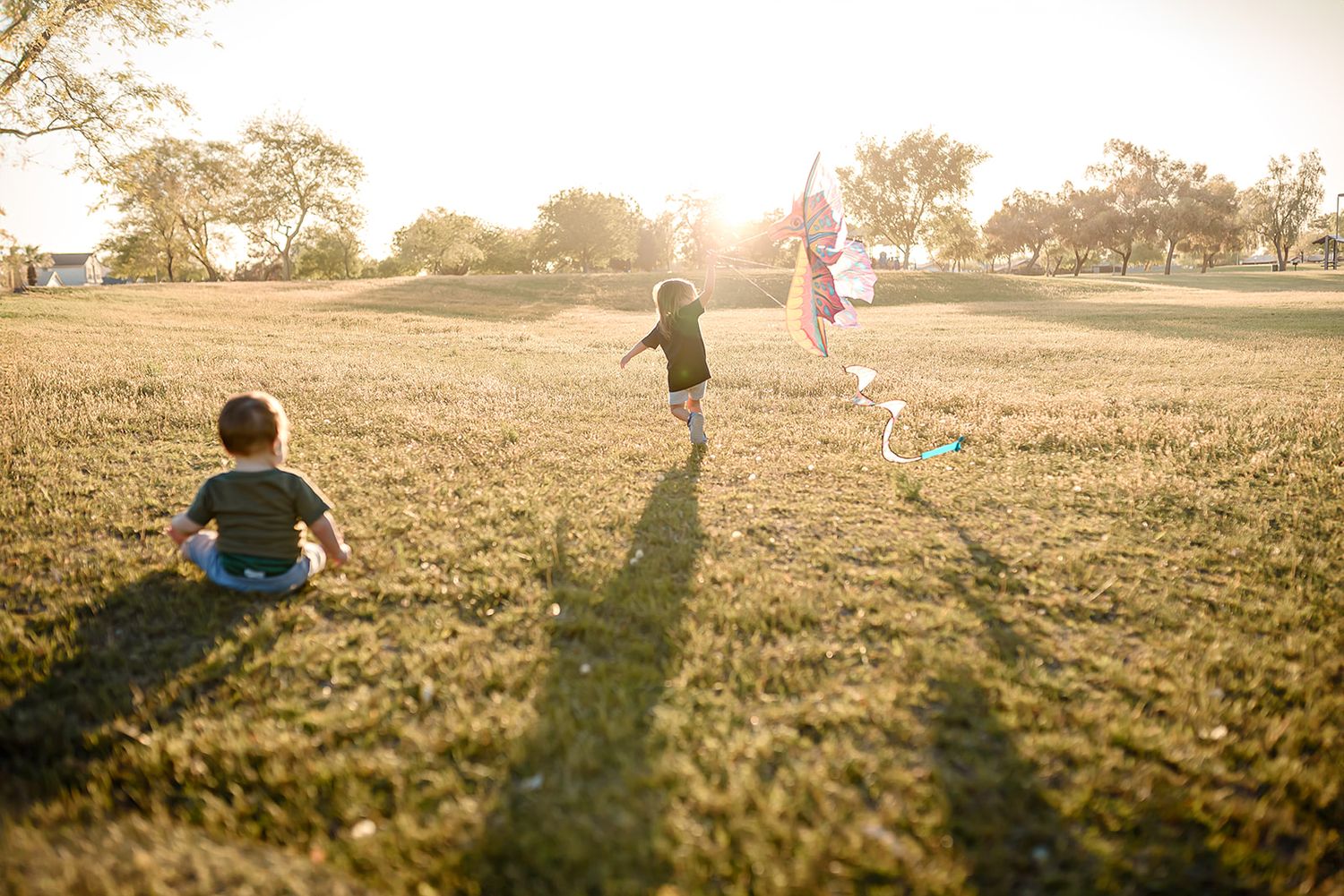 Golden sunlight illuminates a grassy field in a Scottsdale park as a baby watches his big sister fly a kite during a sunset photo session.