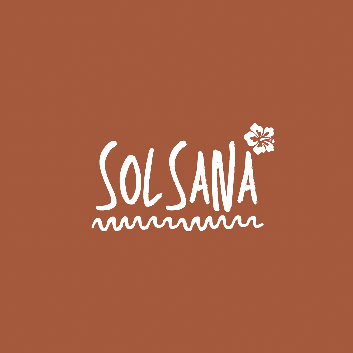 Four variations of the word 'Solsana' shown in different artistic styles against a reddish-brown background.