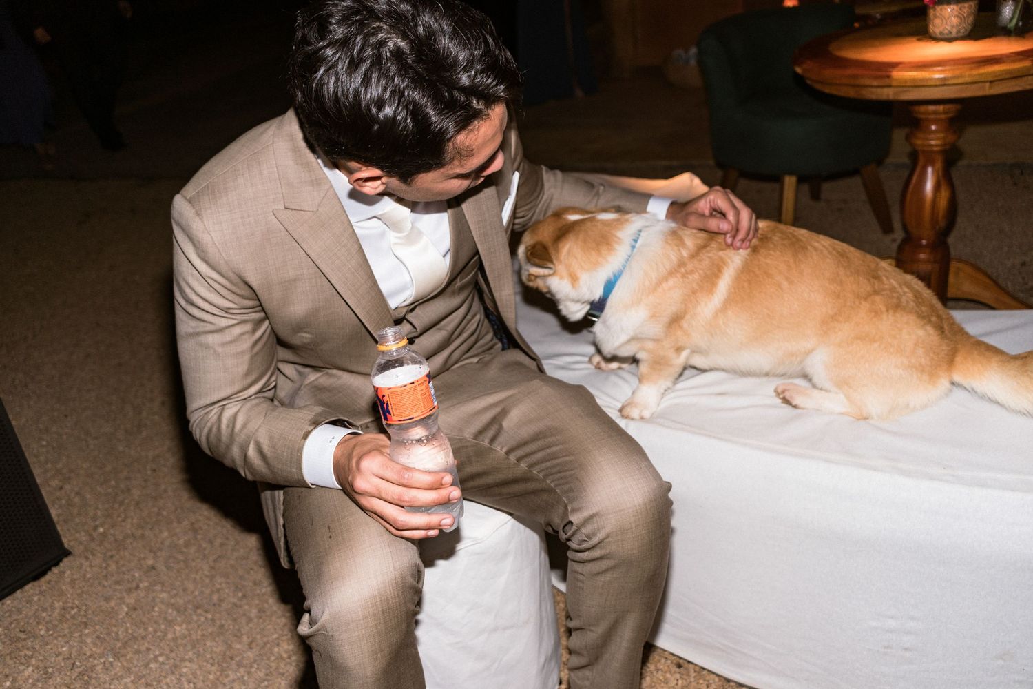 Noivo em terno bege e branco pausa durante a festa pra compartilhar carinho com seu cachorro
