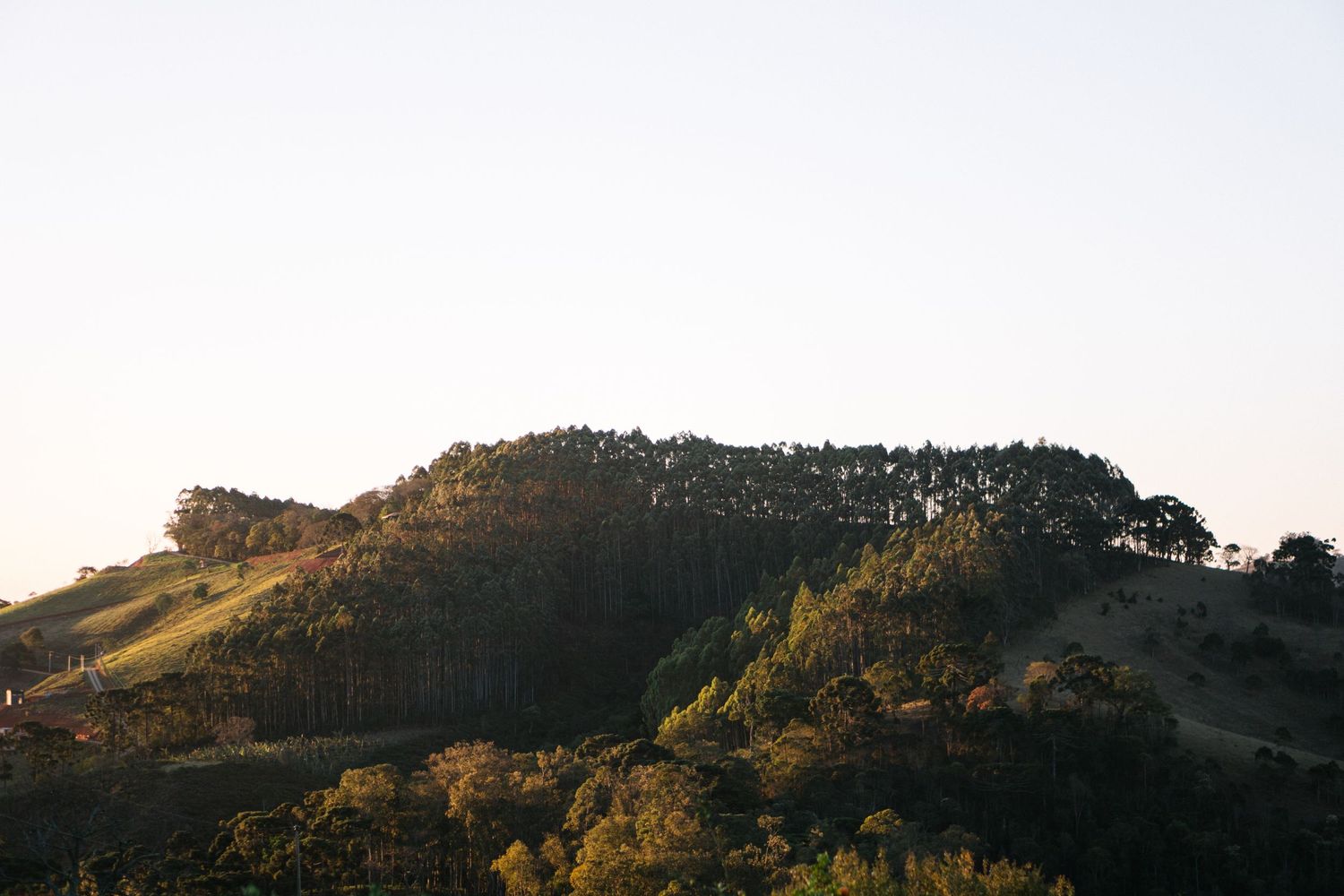 Paisagem montanhosa pitoresca na hora dourada com encostas cobertas de árvores.