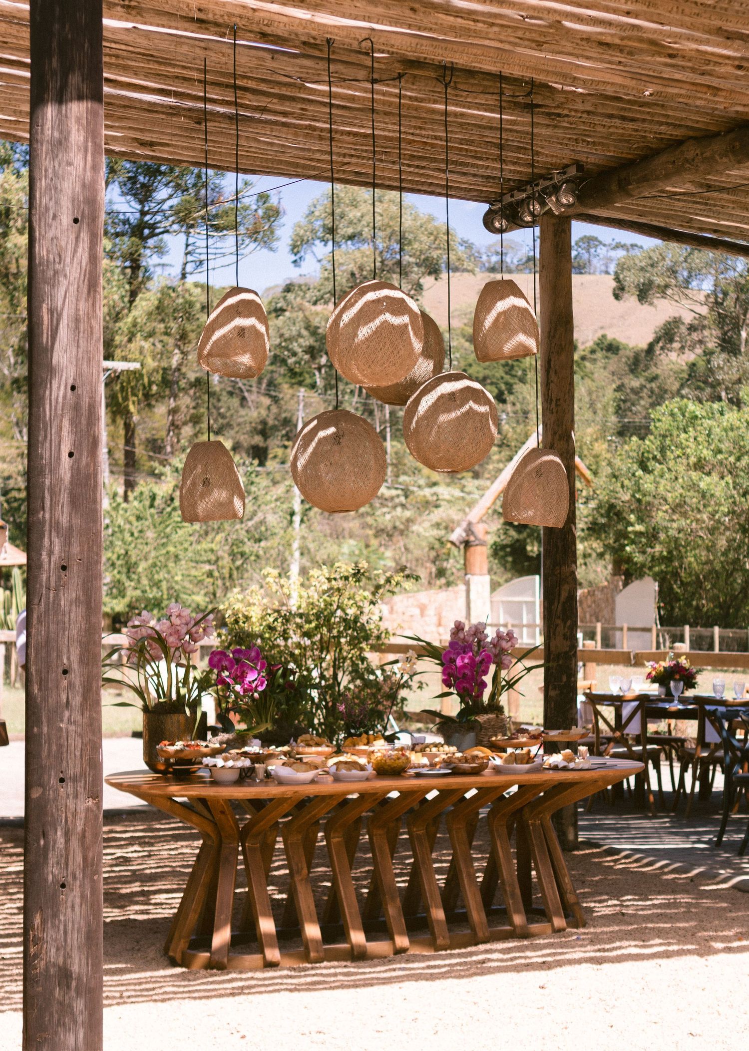 Decoração de casamento ao ar livre com mesa posta, orquídeas roxas e luzes penduradas no estilo campestre