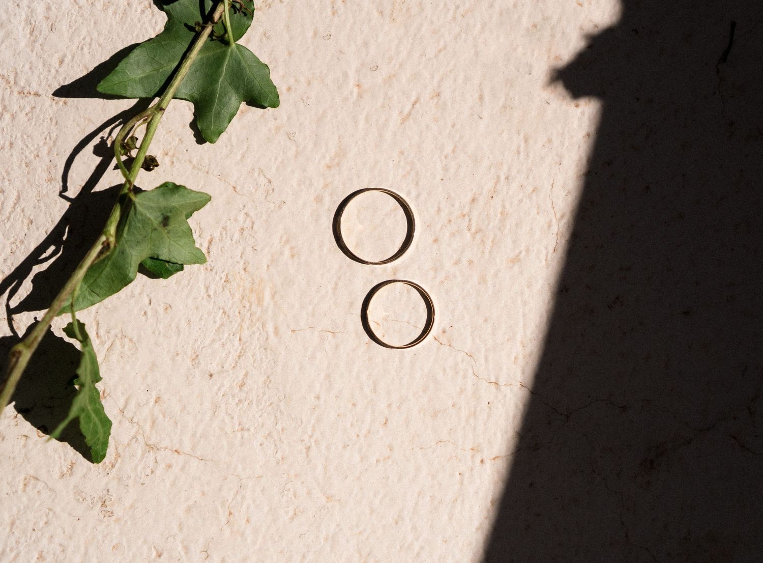 Dois anéis de casamento projetam sombras em superfície branca texturizada, com folhas de hera verde no canto