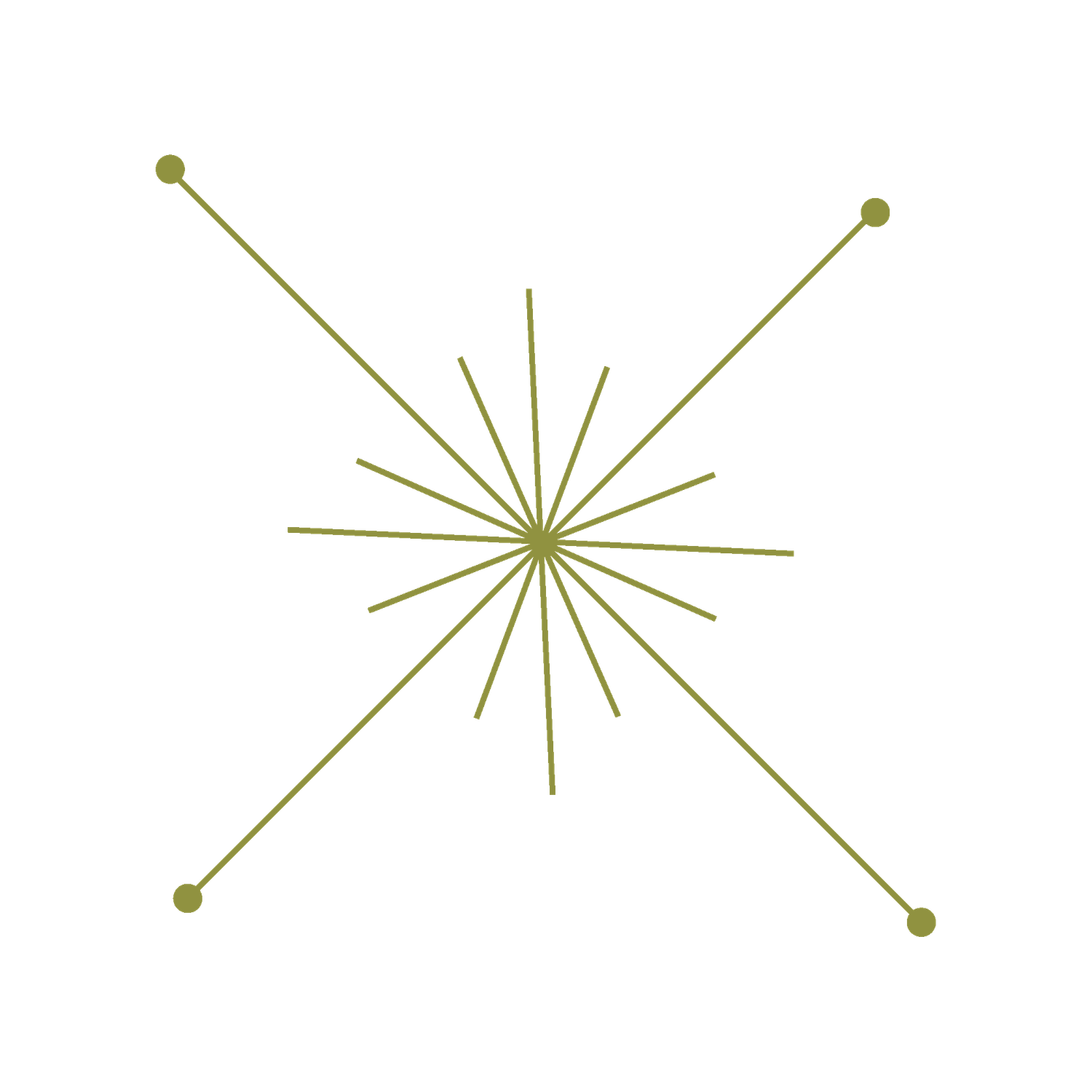 Retro-inspired starburst graphic in green, used as decorative accent on photography website