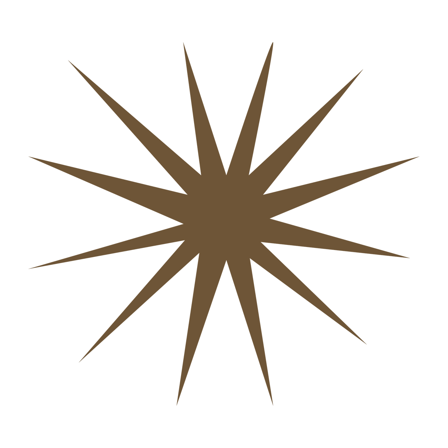Minimalist starburst icon in earthy tones, part of Sól Dreki Photography brand design